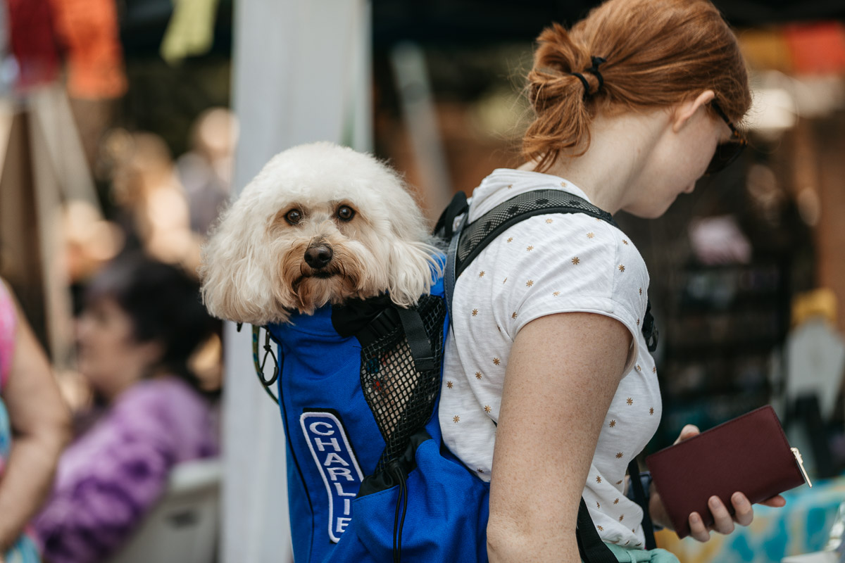 Farmer's Market fun in Augusta