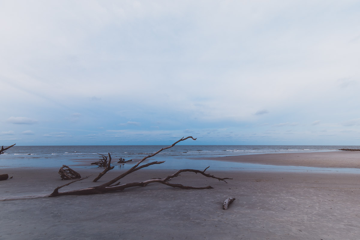 untitled-1-25.jpg