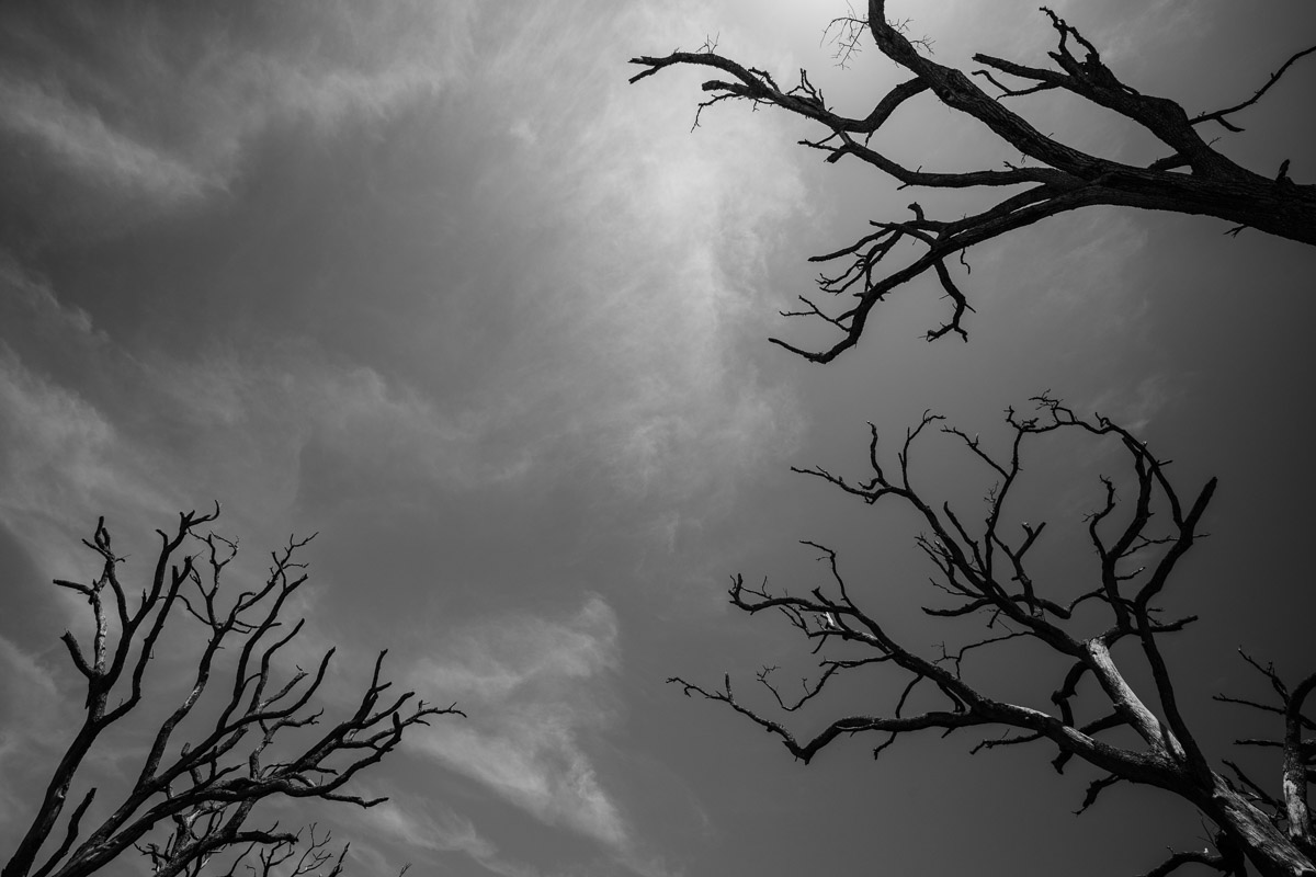 untitled-1-31.jpg