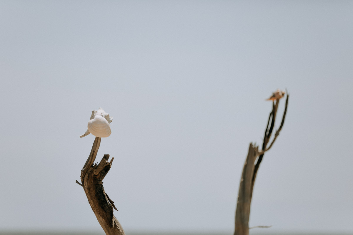 untitled-1-36.jpg