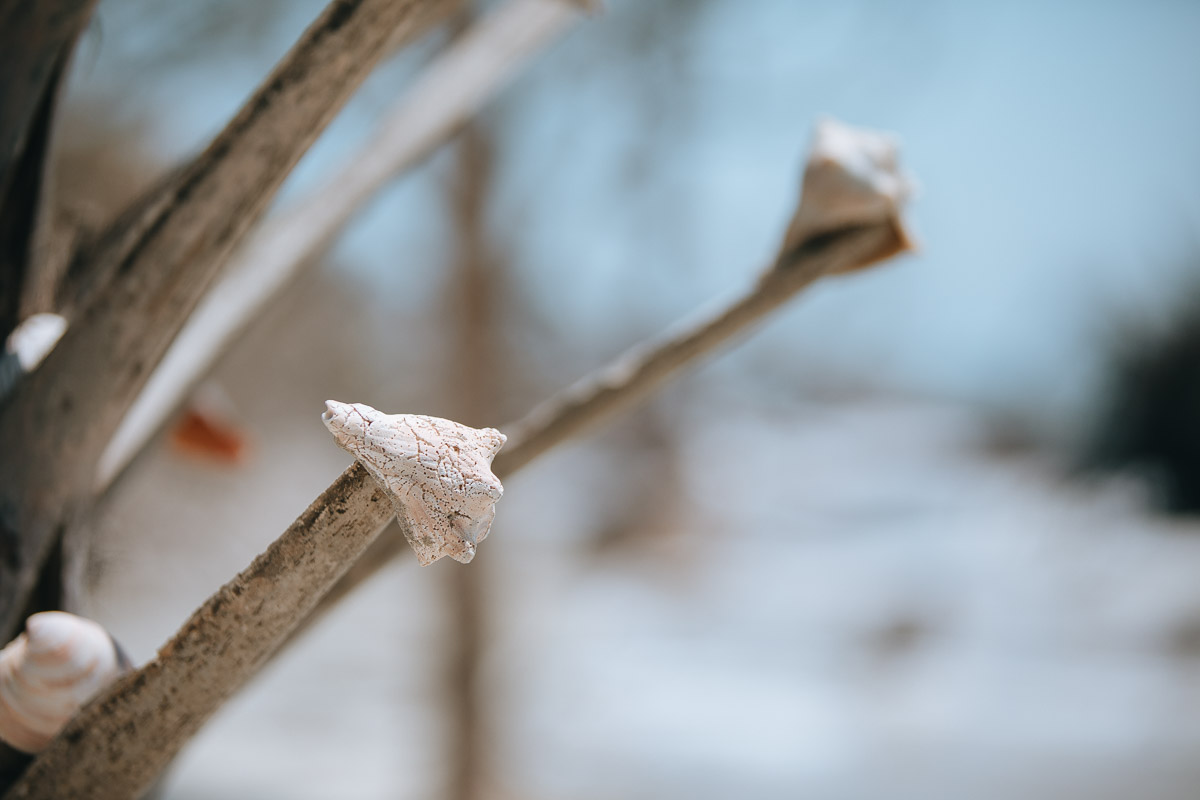 untitled-1-38.jpg