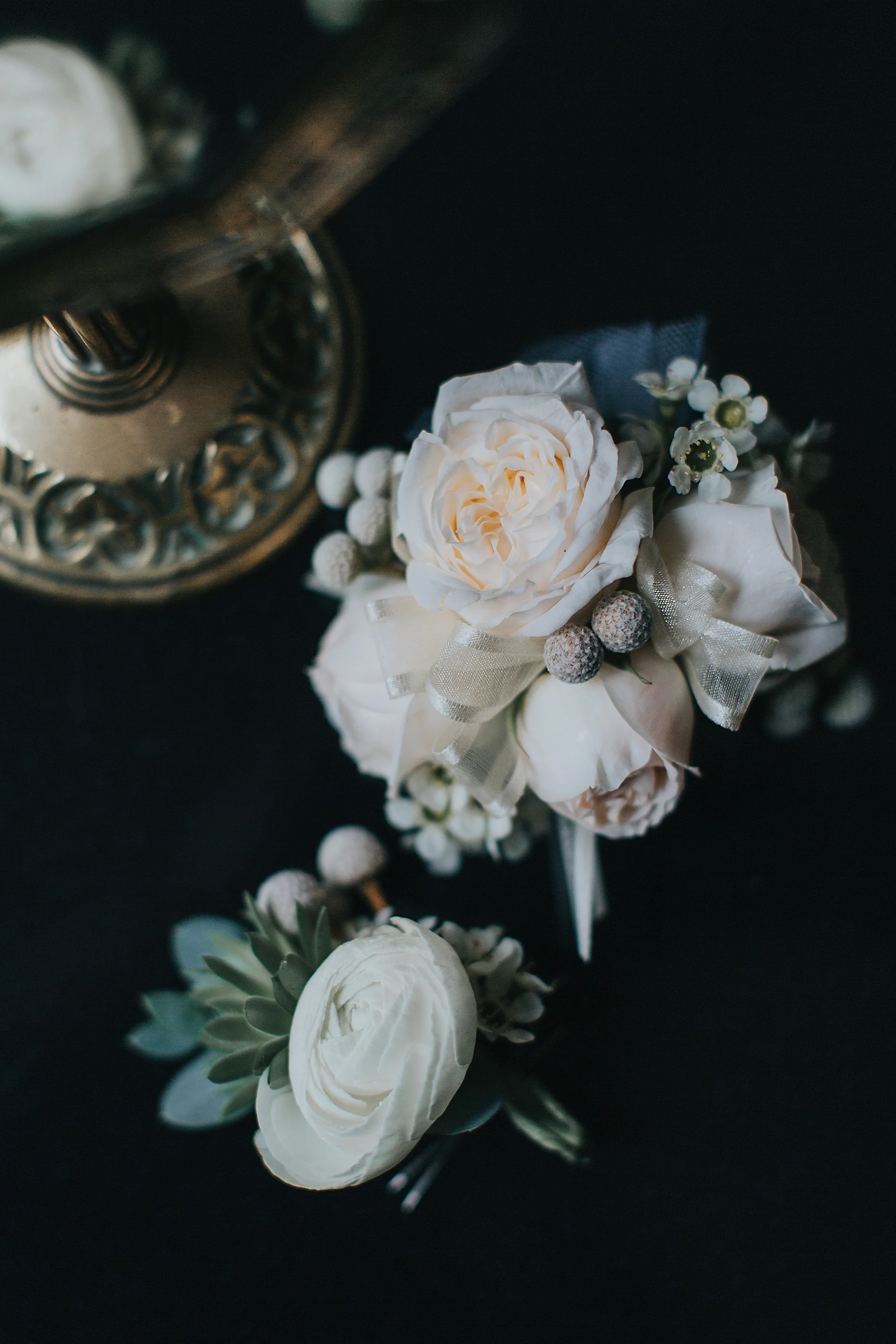 LionladyPhotography-5847.jpg