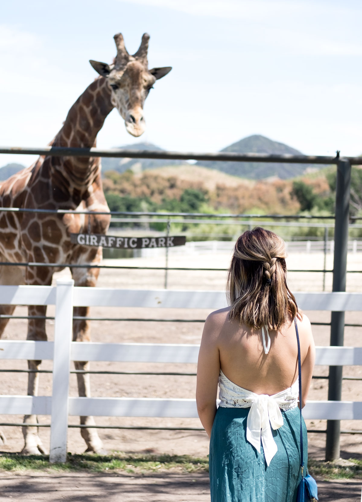 Wine Tasting And A Giraffe Encounter In Malibu