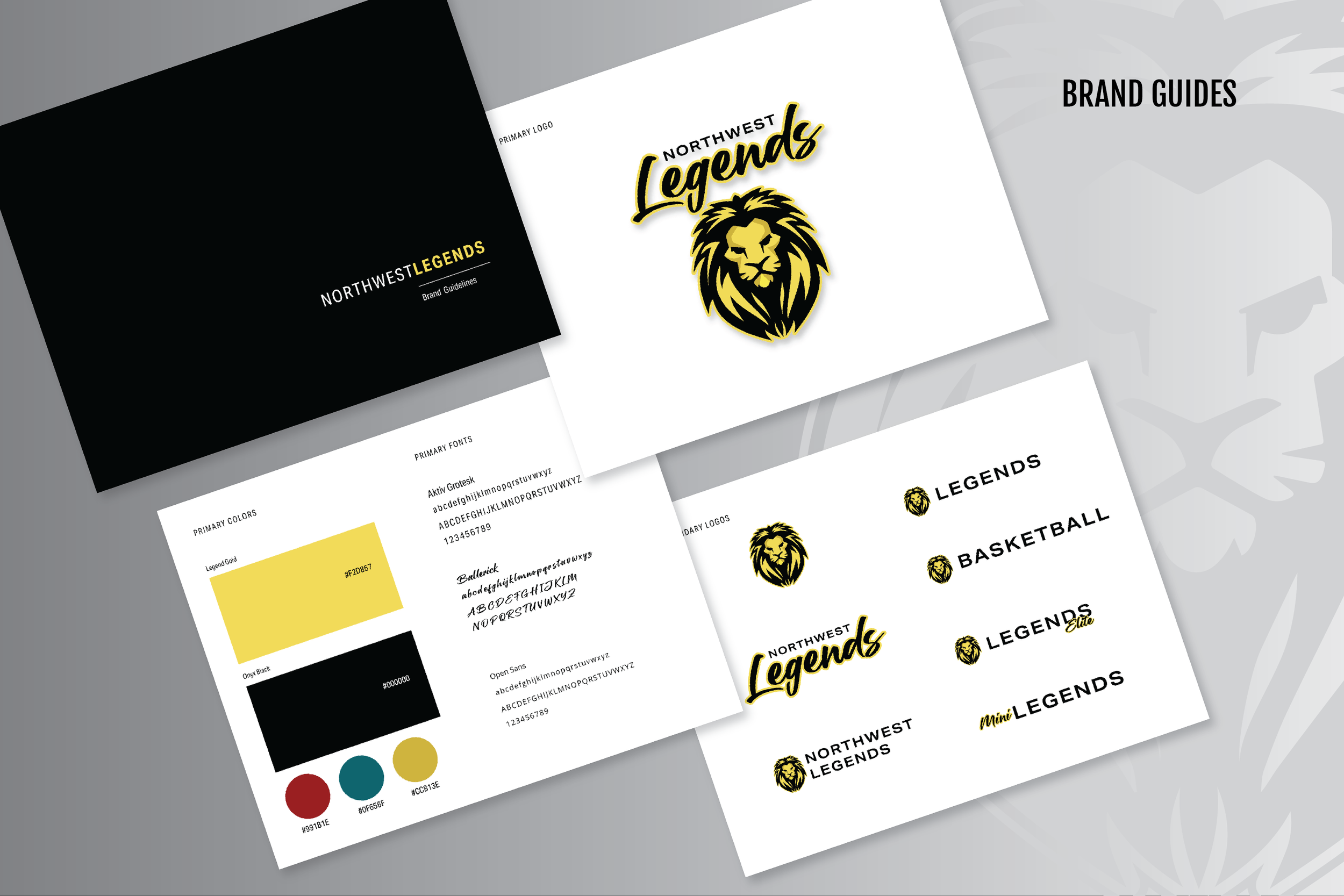 Flyers_Brand Guides.png