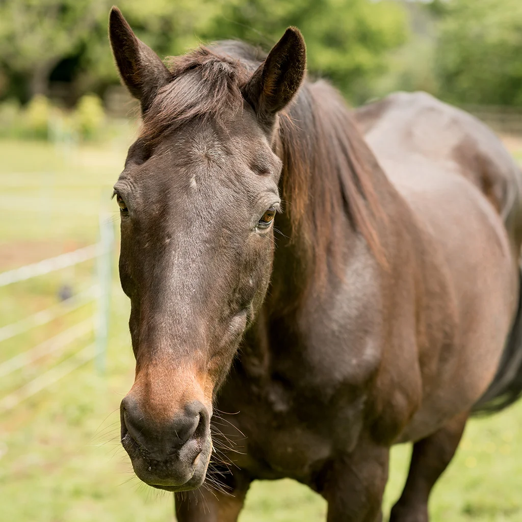 _DSC7805.JAKE.jpg