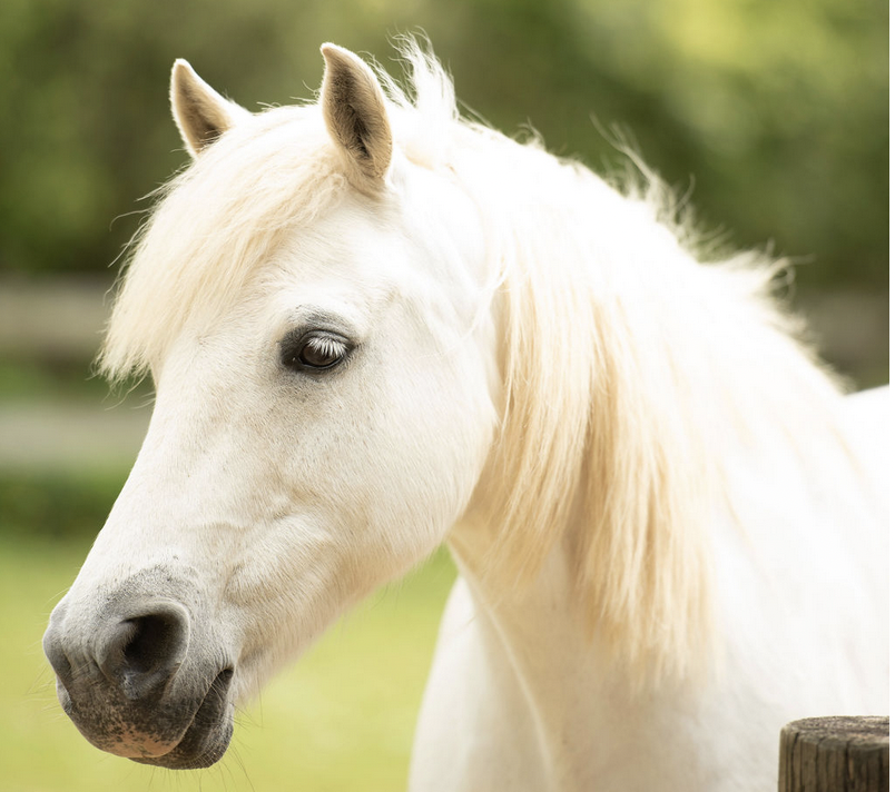 Screen Shot 2025-12-10 at 9.39.15 PM.png