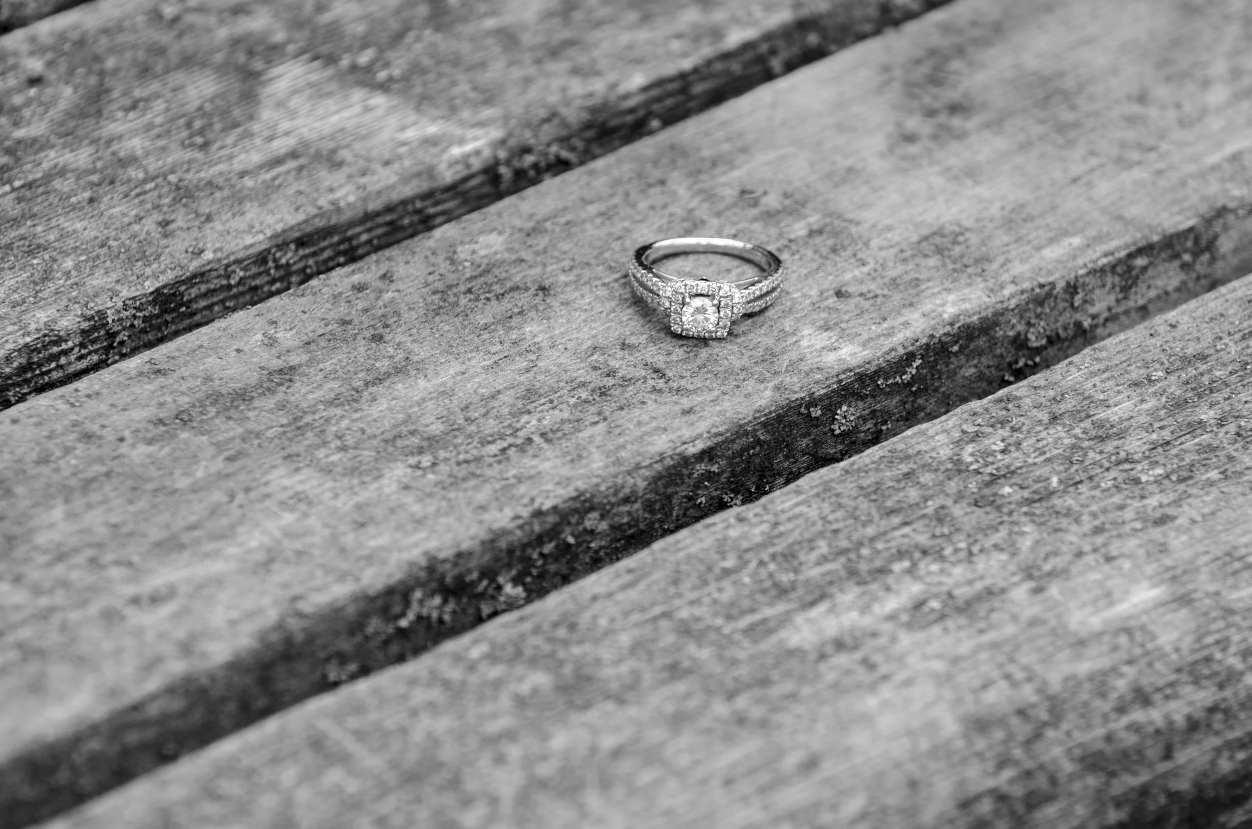 Emile&AdamEngagement_32.jpg