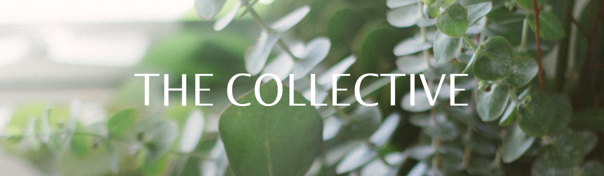 Image Headers (6).png