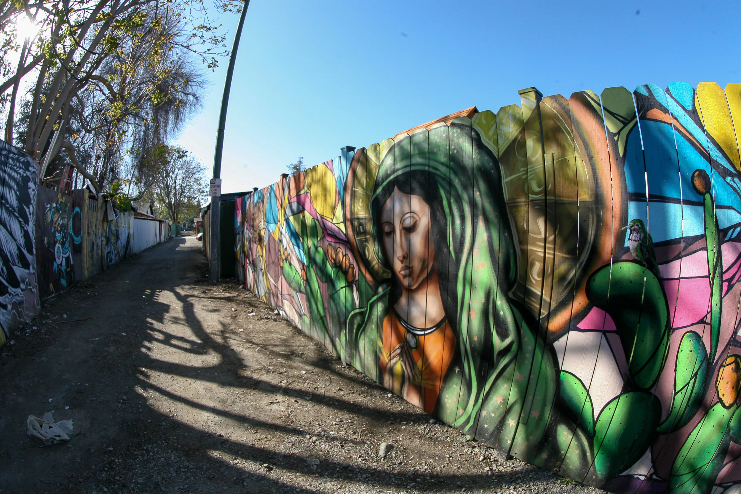 The Virgin Mary