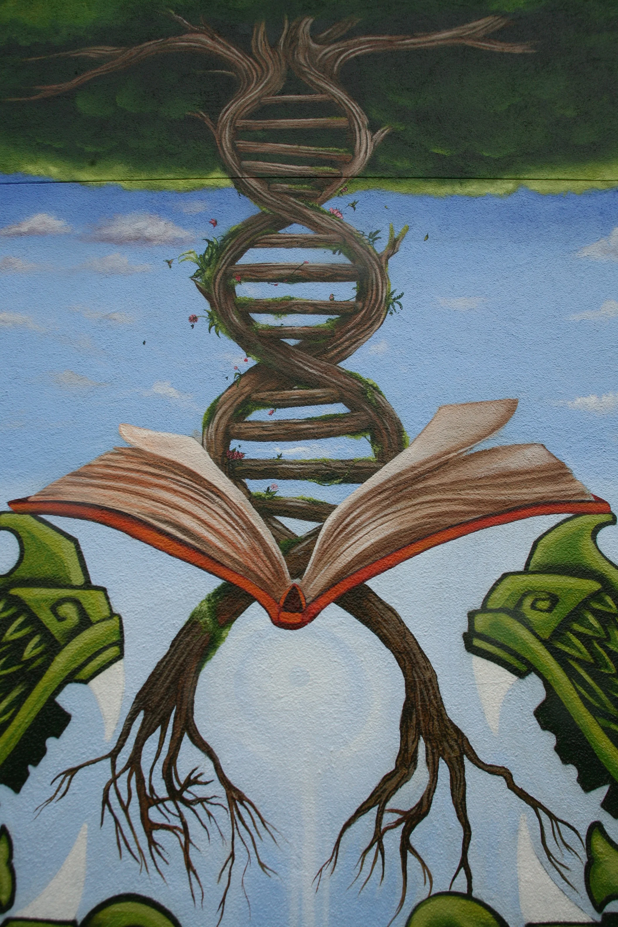 A See of Infinite Creation