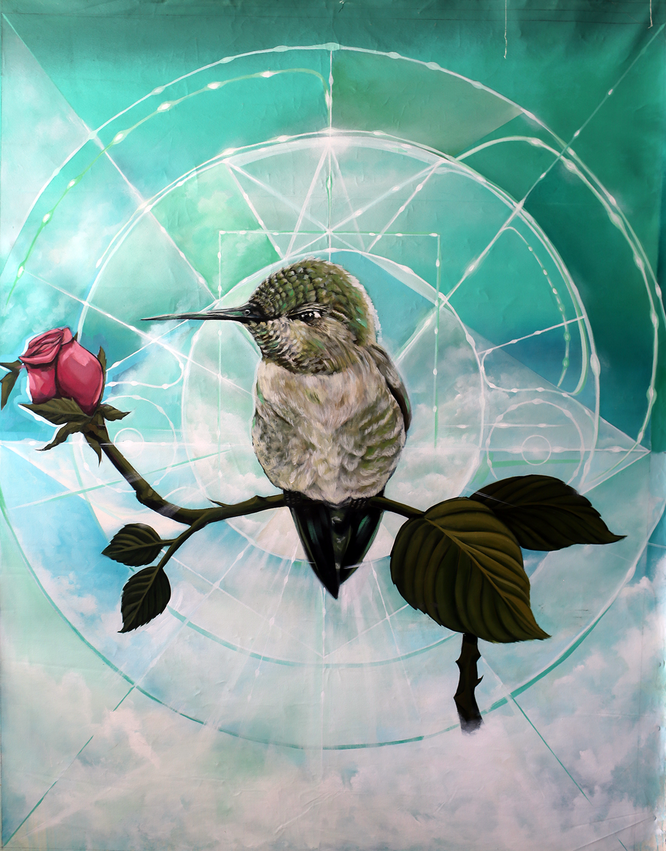 Hummingbird.png