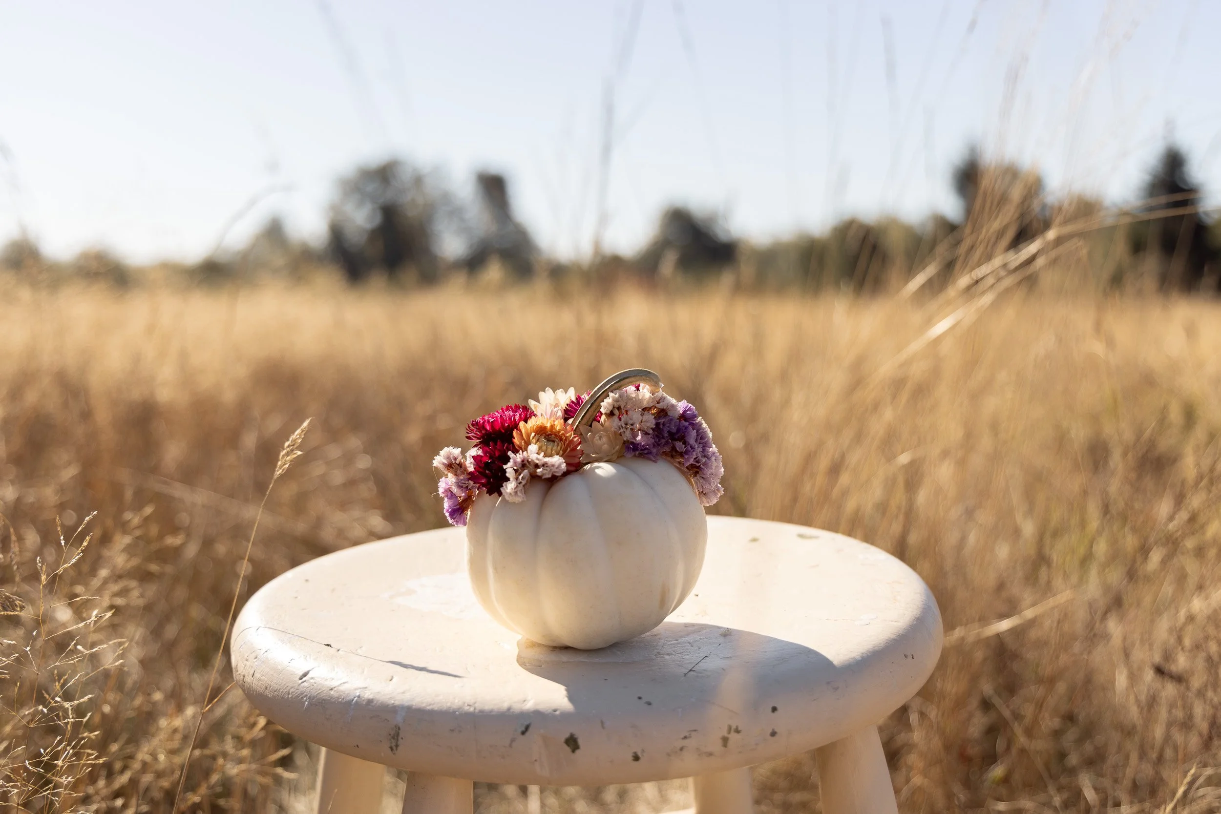 mini-white-pumpkin-floral-arrangement--8.jpg