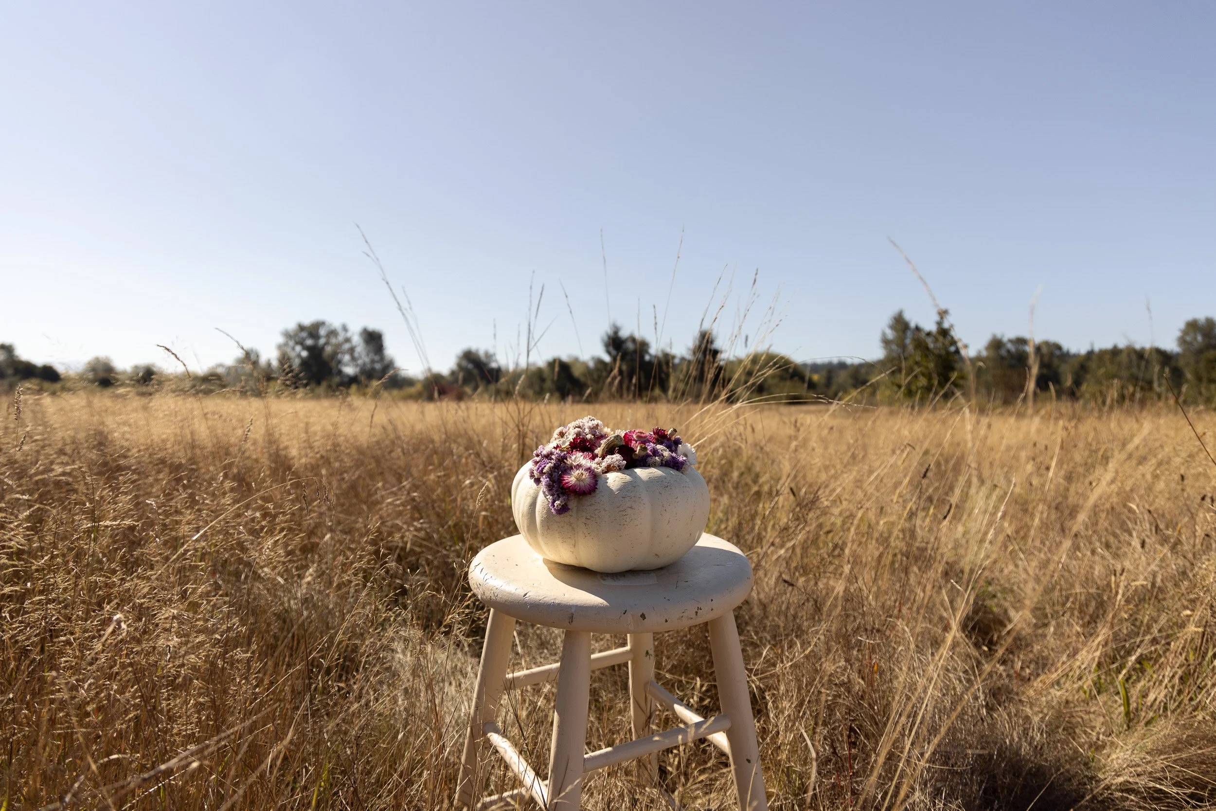 heirloom-pumpkin-flower-centerpiece-.jpg