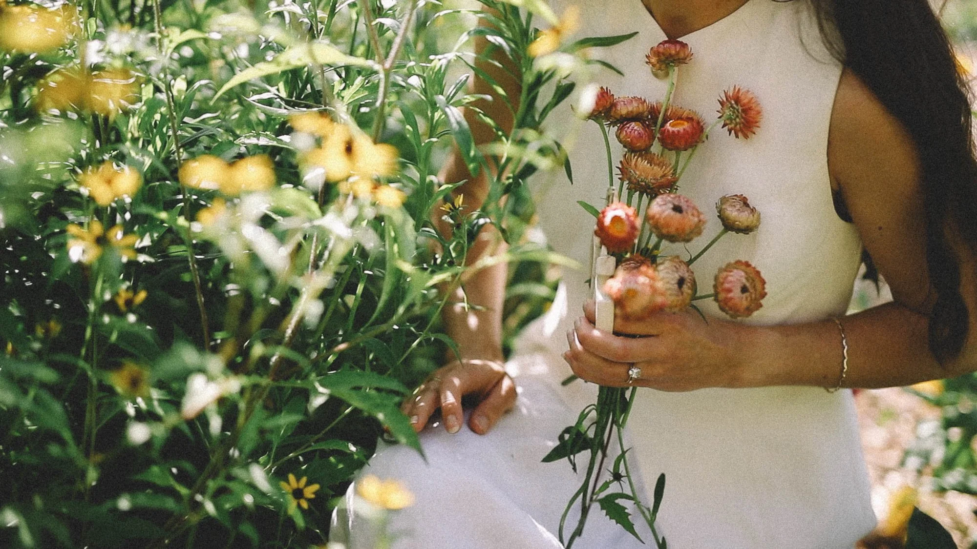 A person holding a bouquet of pink and orange flowers, standing next to a lush green bush with yellow flowers