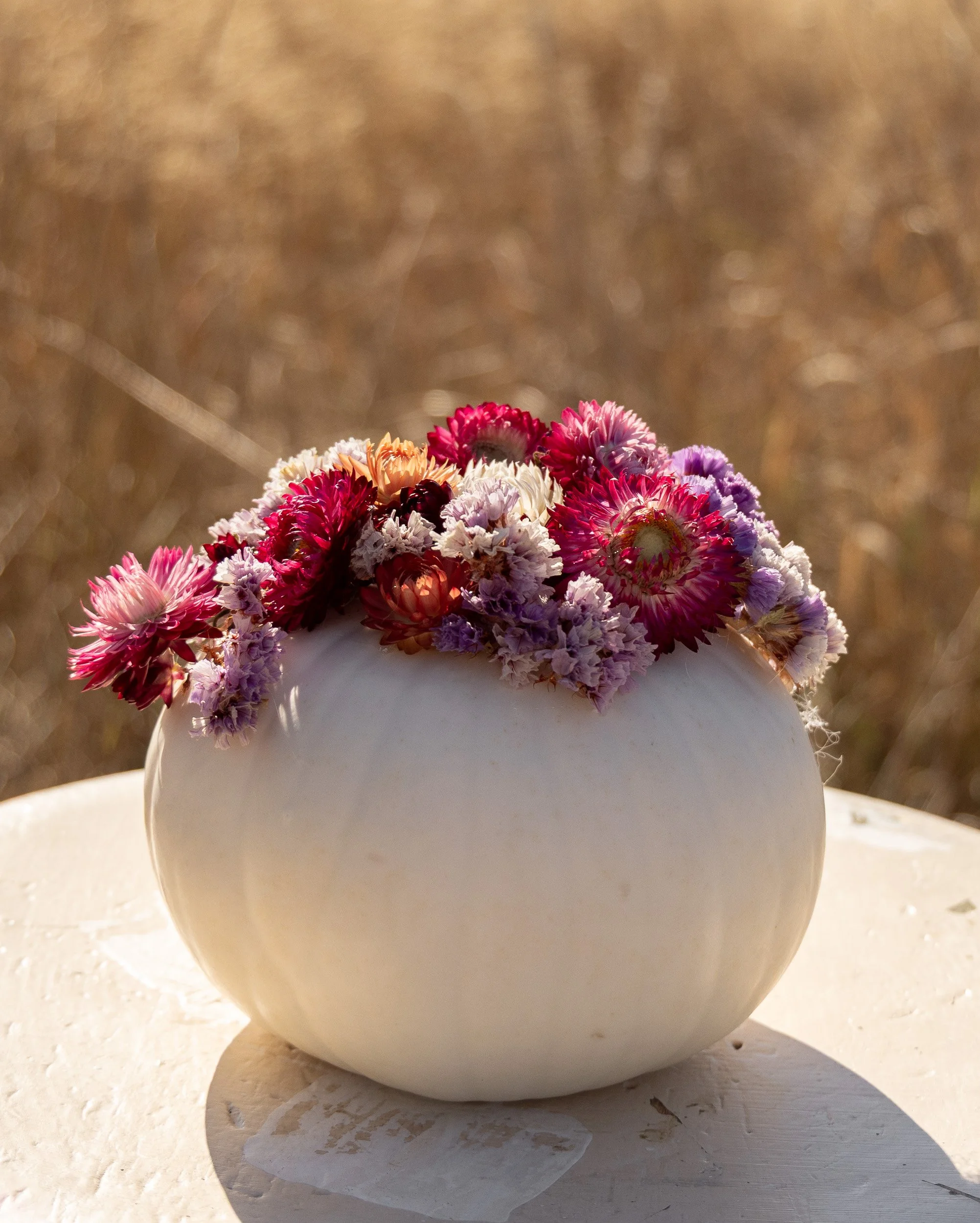 Medium Botanical Pumpkin