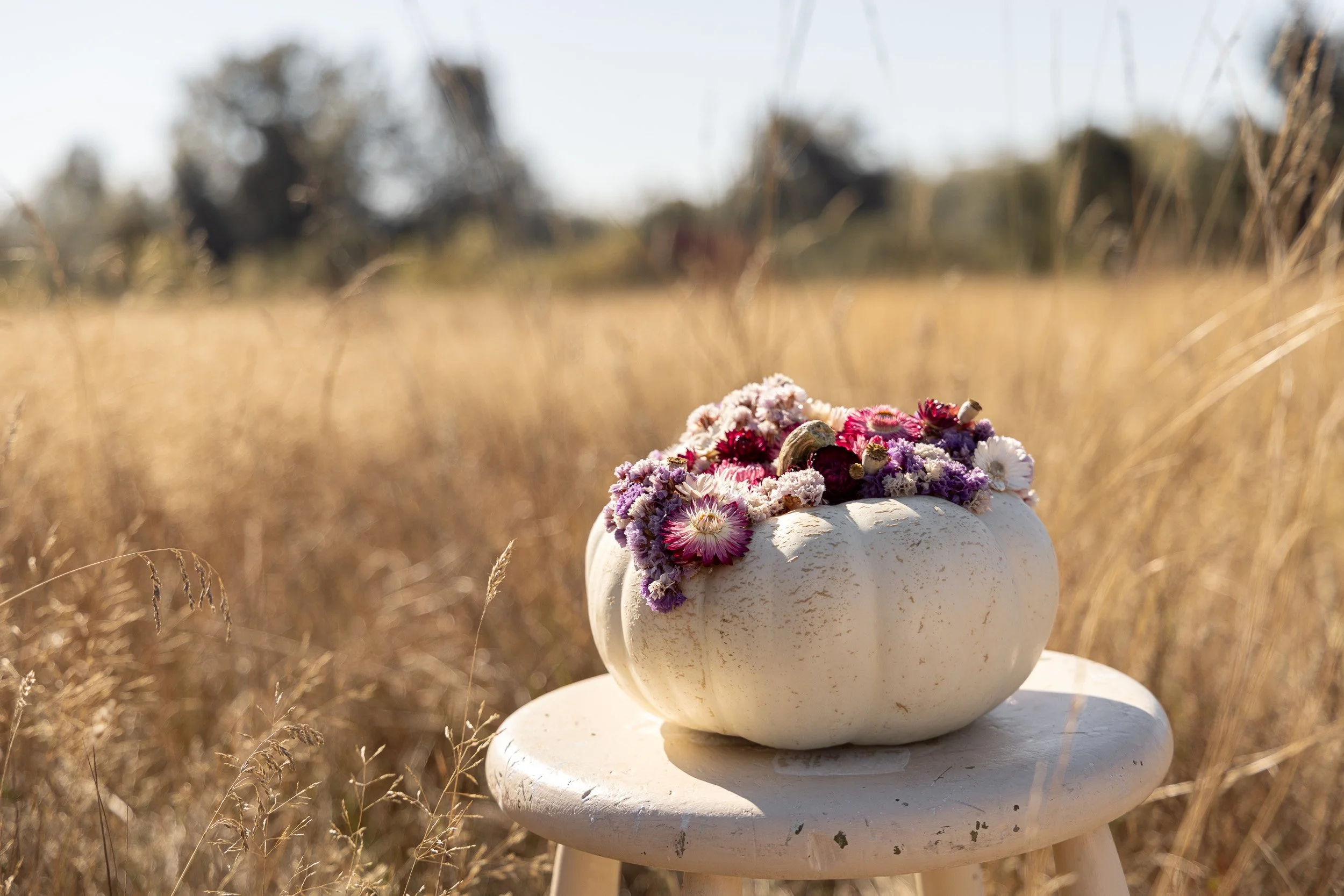 heirloom-pumpkin-flower-centerpiece--11.jpg