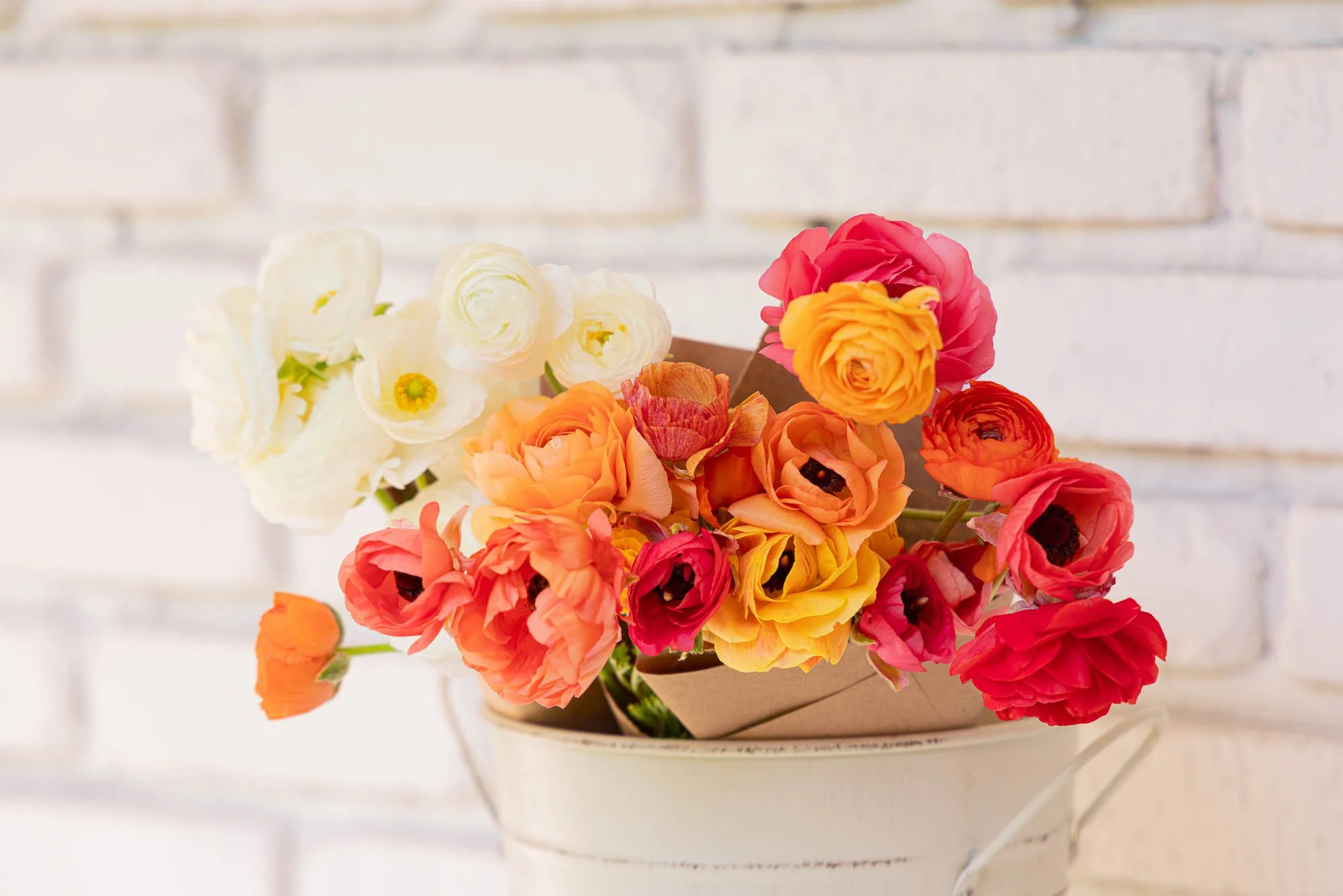Ranunculus