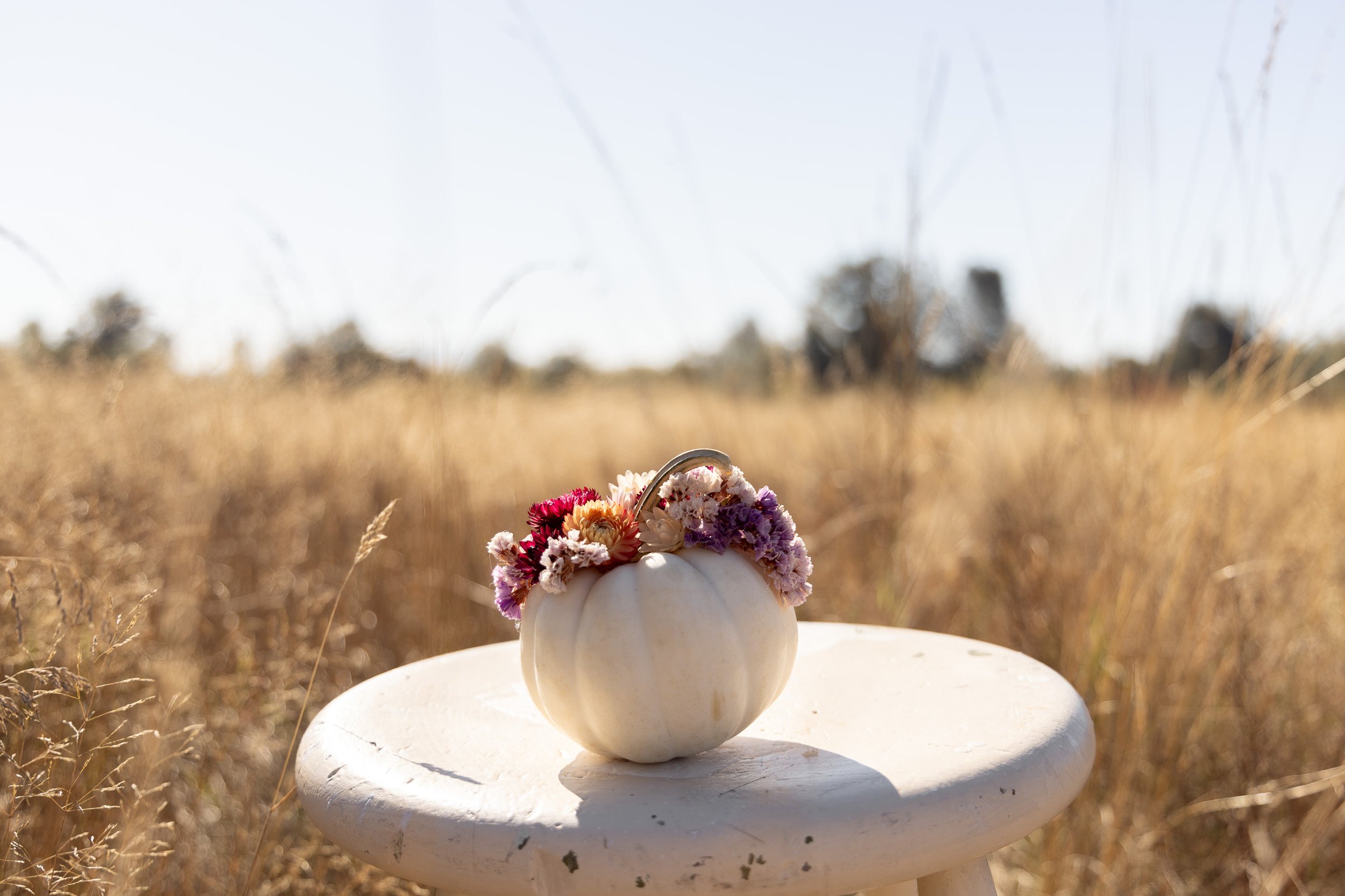 mini-white-pumpkin-floral-arrangement--9.jpg