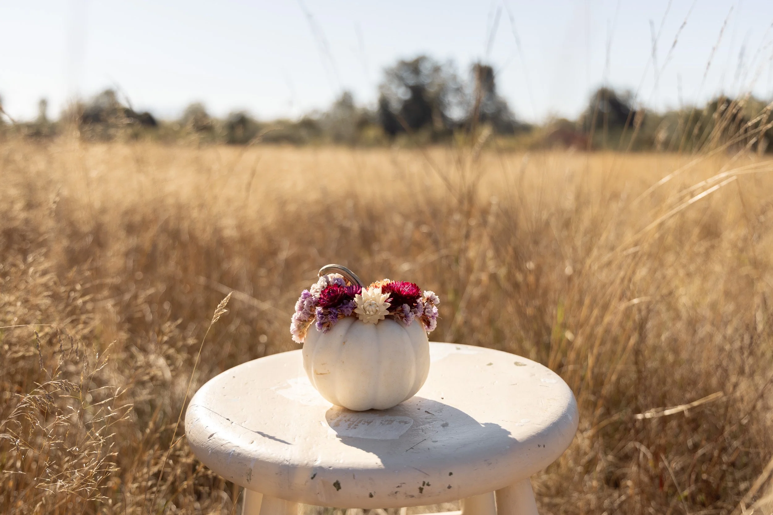 mini-white-pumpkin-floral-arrangement-.jpg