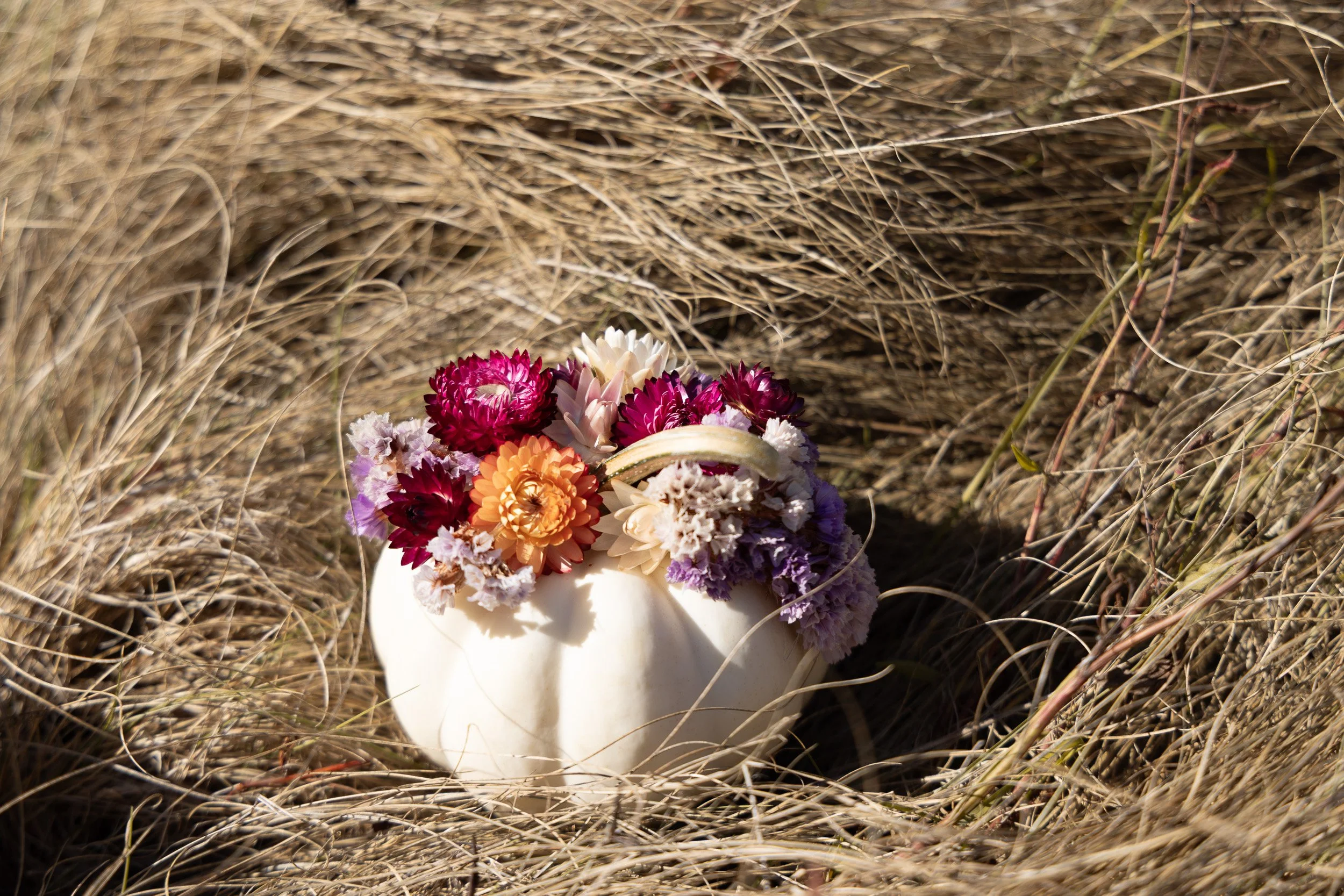 mini-white-pumpkin-floral-arrangement--12.jpg