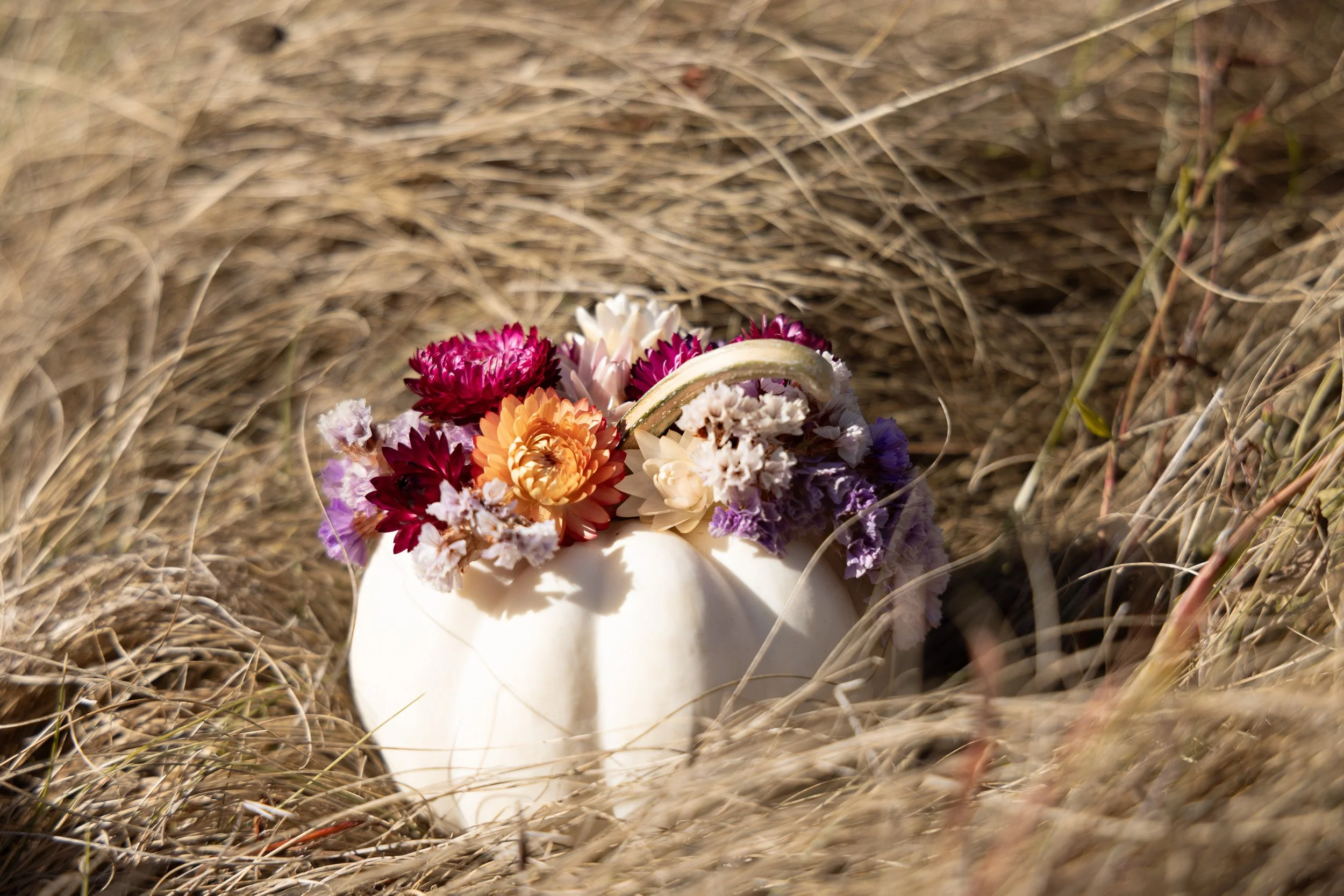 mini-white-pumpkin-floral-arrangement--14.jpg