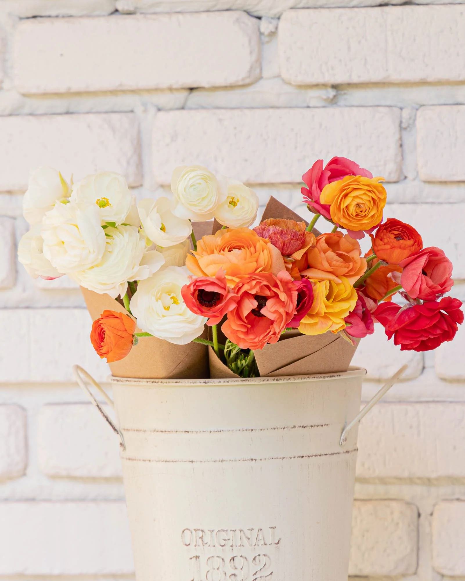 white-brick-flower-farm_spring-ranunculus-drop_hero-0012.jpg
