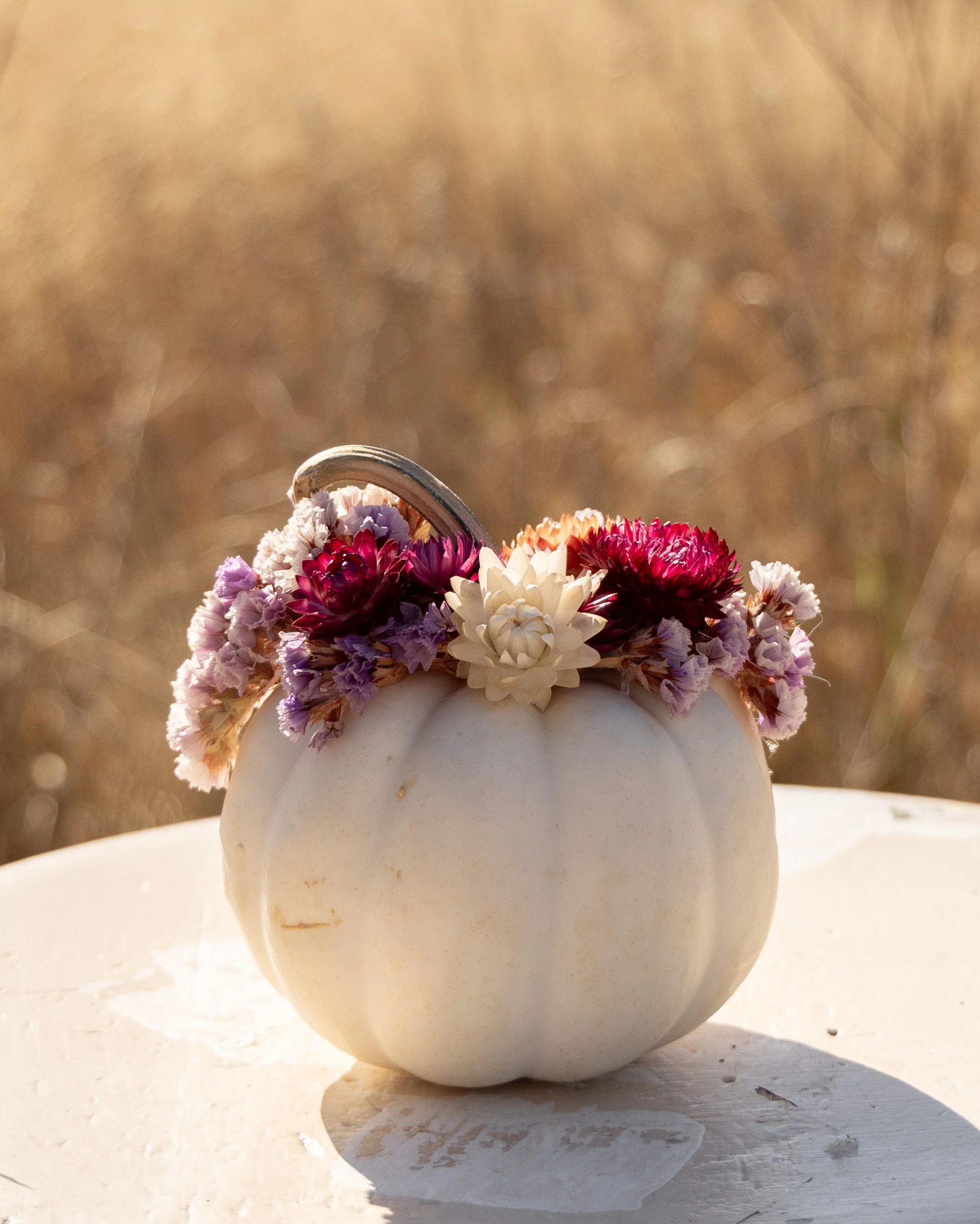 Small Botanical Pumpkin