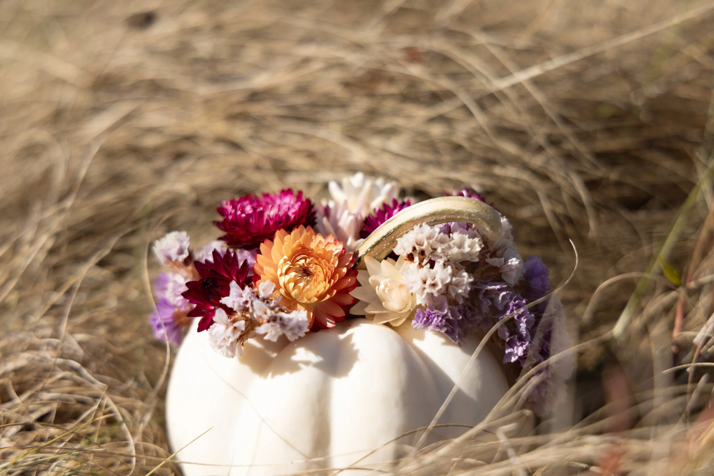 mini-white-pumpkin-floral-arrangement--13.jpg