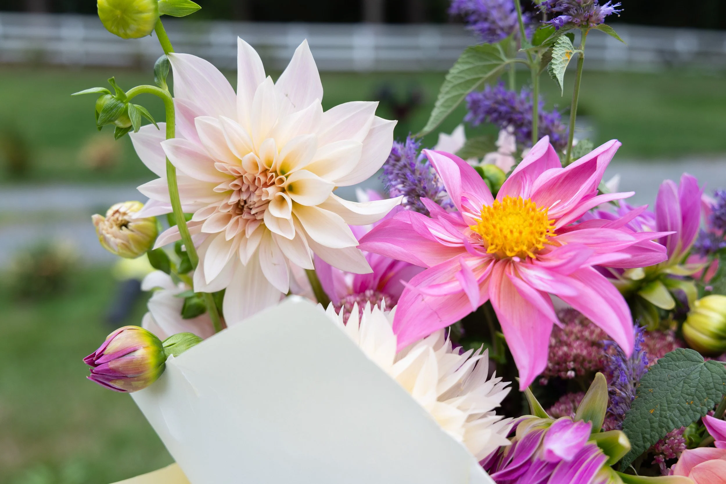 garden-grown-dahlia-bouquet-detail.jpg
