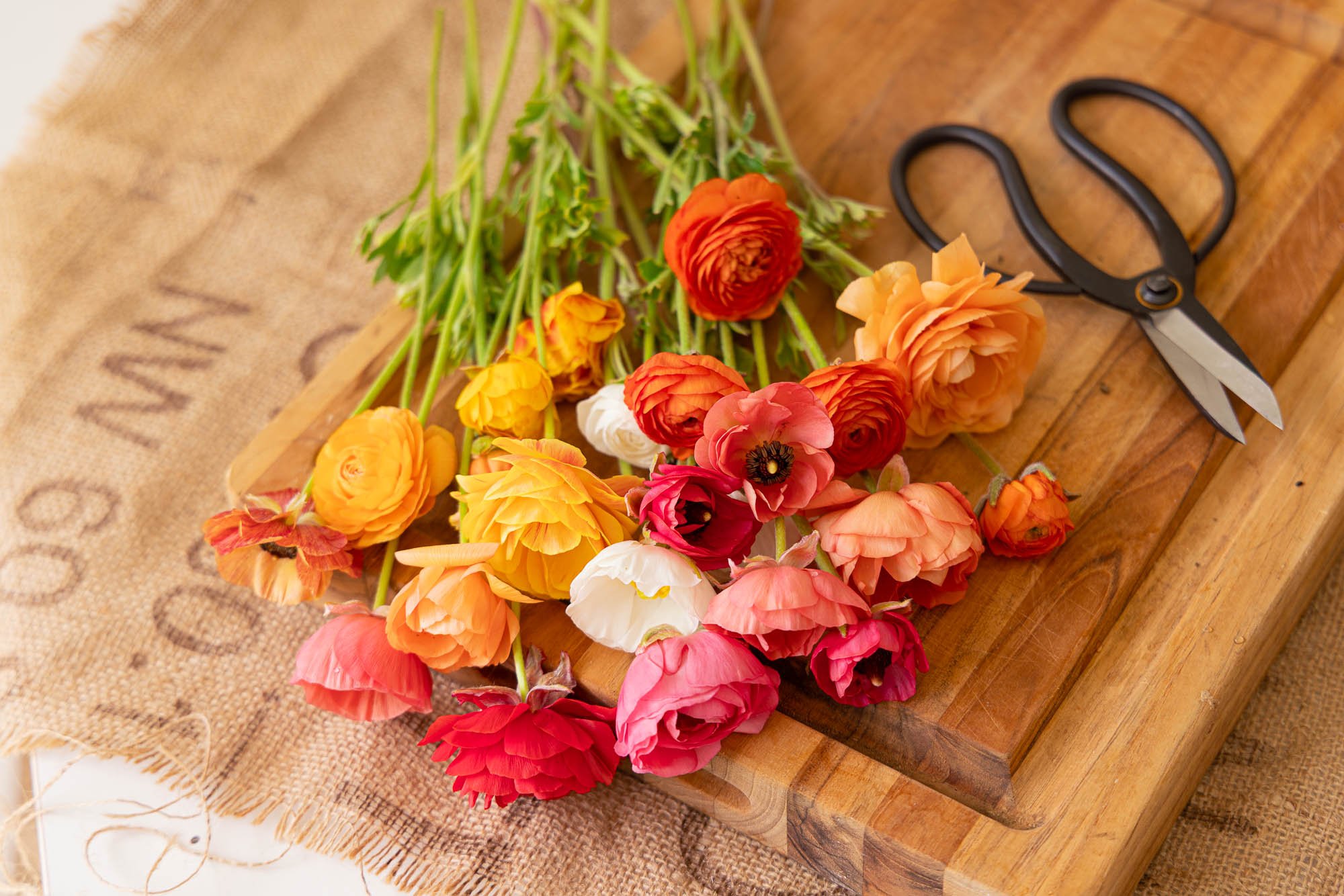 white-brick-flower-farm_spring-ranunculus-drop_hero-23.jpg