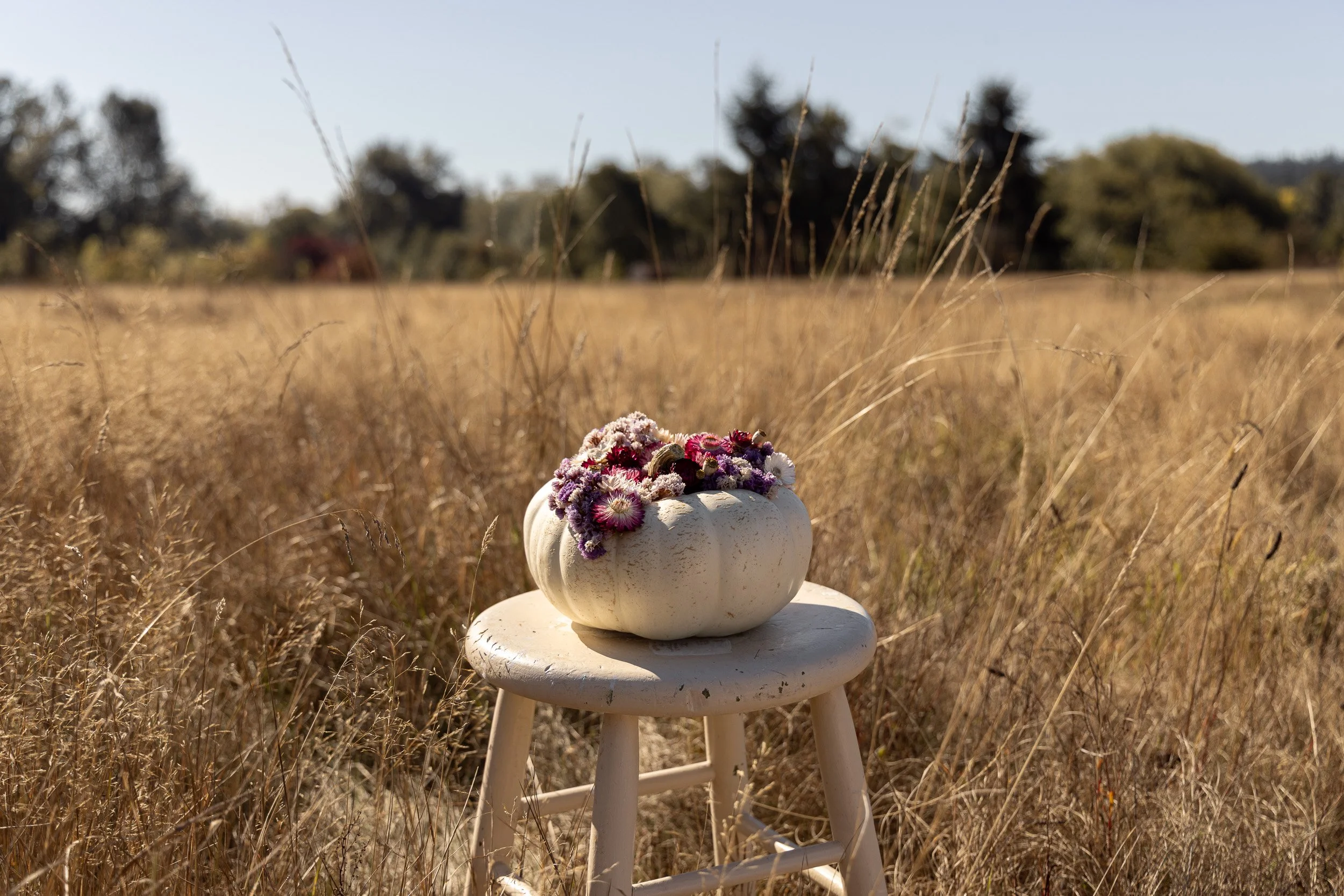 heirloom-pumpkin-flower-centerpiece--9.jpg