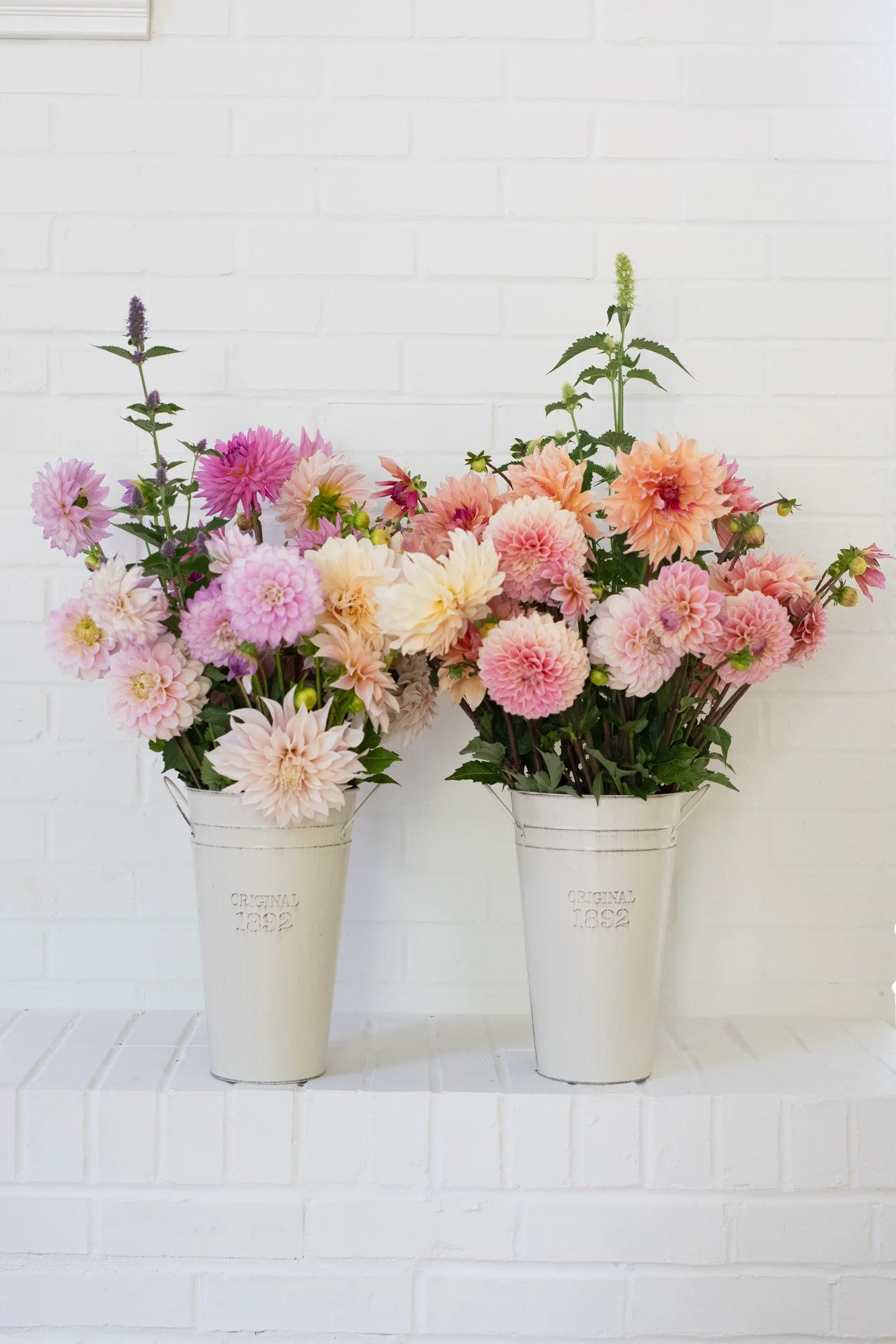 Two buckets of blush, peach, and cream dahlias against a white brick wall.