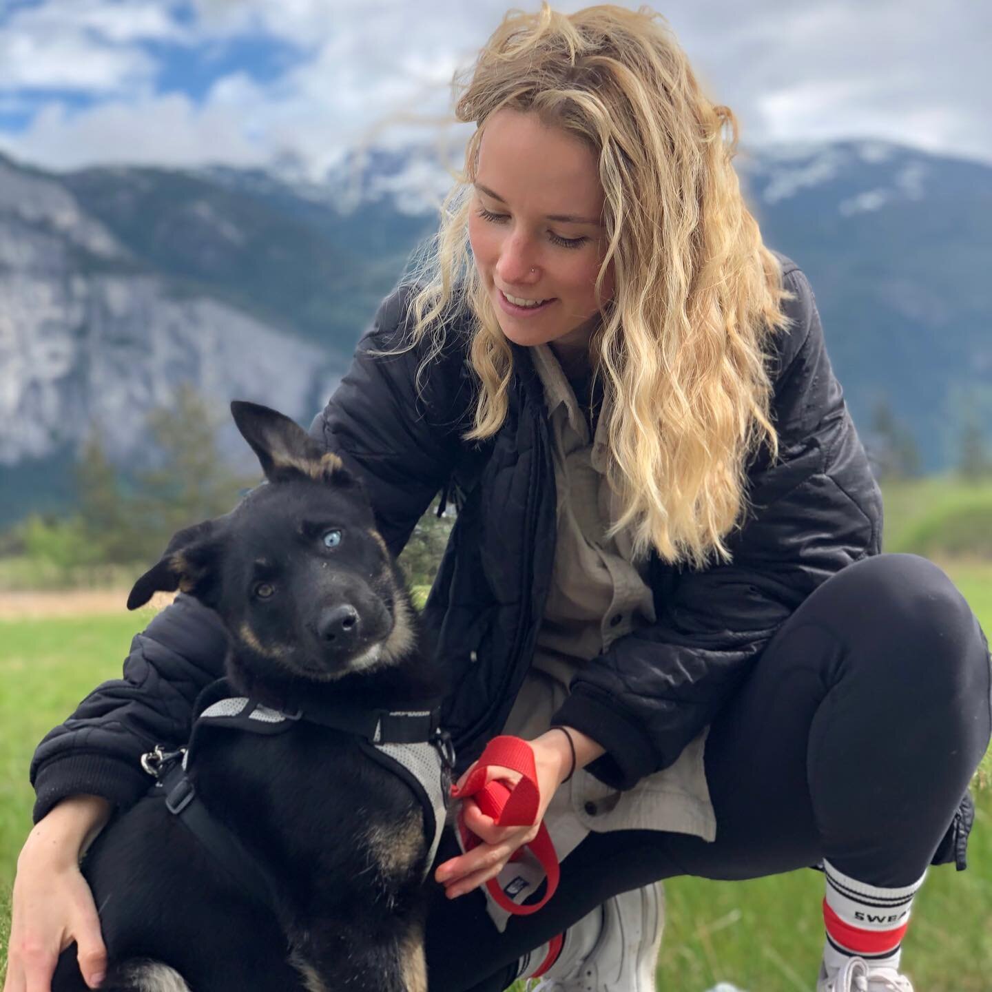 Meet Megan! (And Cashen😍) 

Megan has been walking and hiking dogs with Tails and Bails since March 2021! And shortly after she adopted her little cutie Cashen. 

She loves hiking and dogs (duh😆) and is an artist! When she is not hiking you will fi