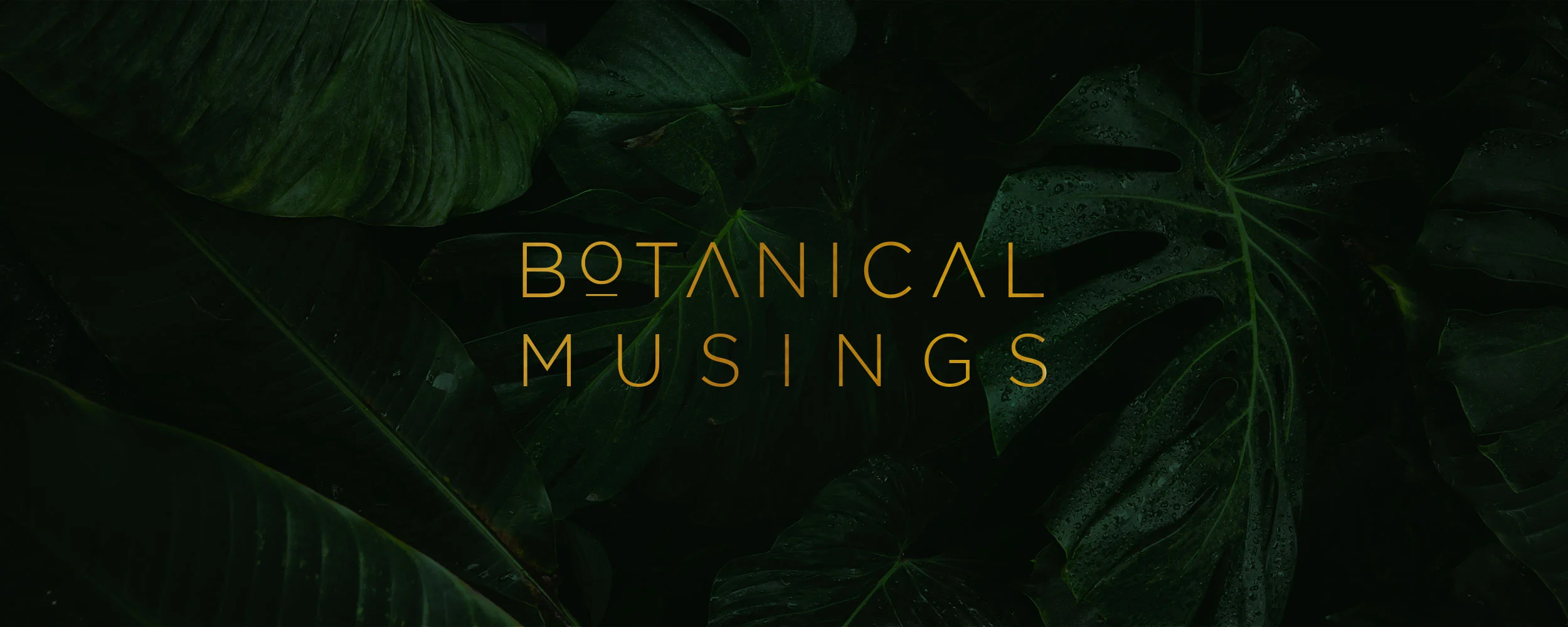 Botanical_Banner_02.jpg