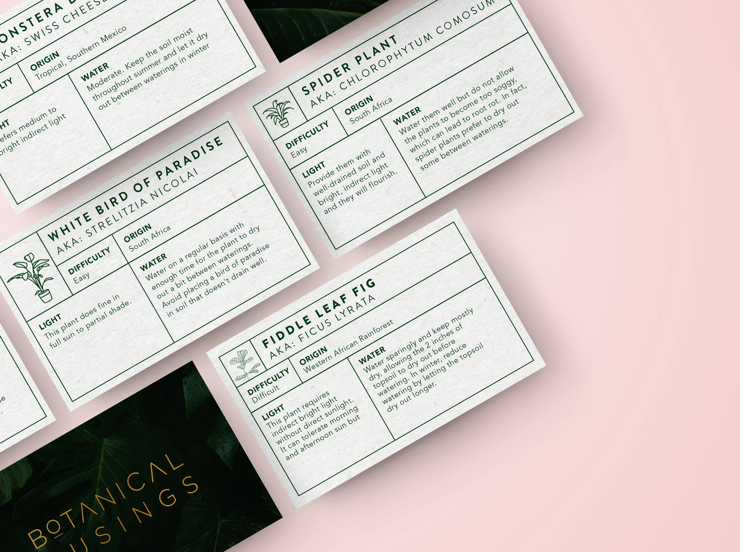 Labels Mockup_02.jpg