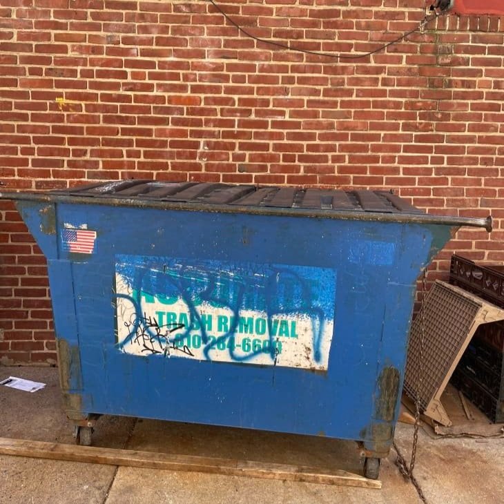 Diving into the World of TikTok Dumpster Divers