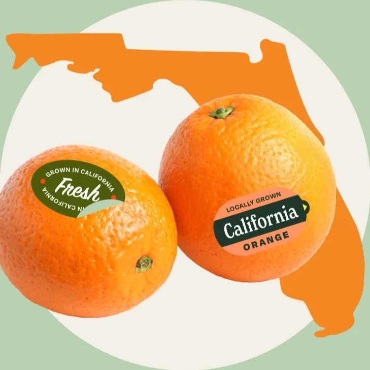 Where Are All The Florida Oranges?