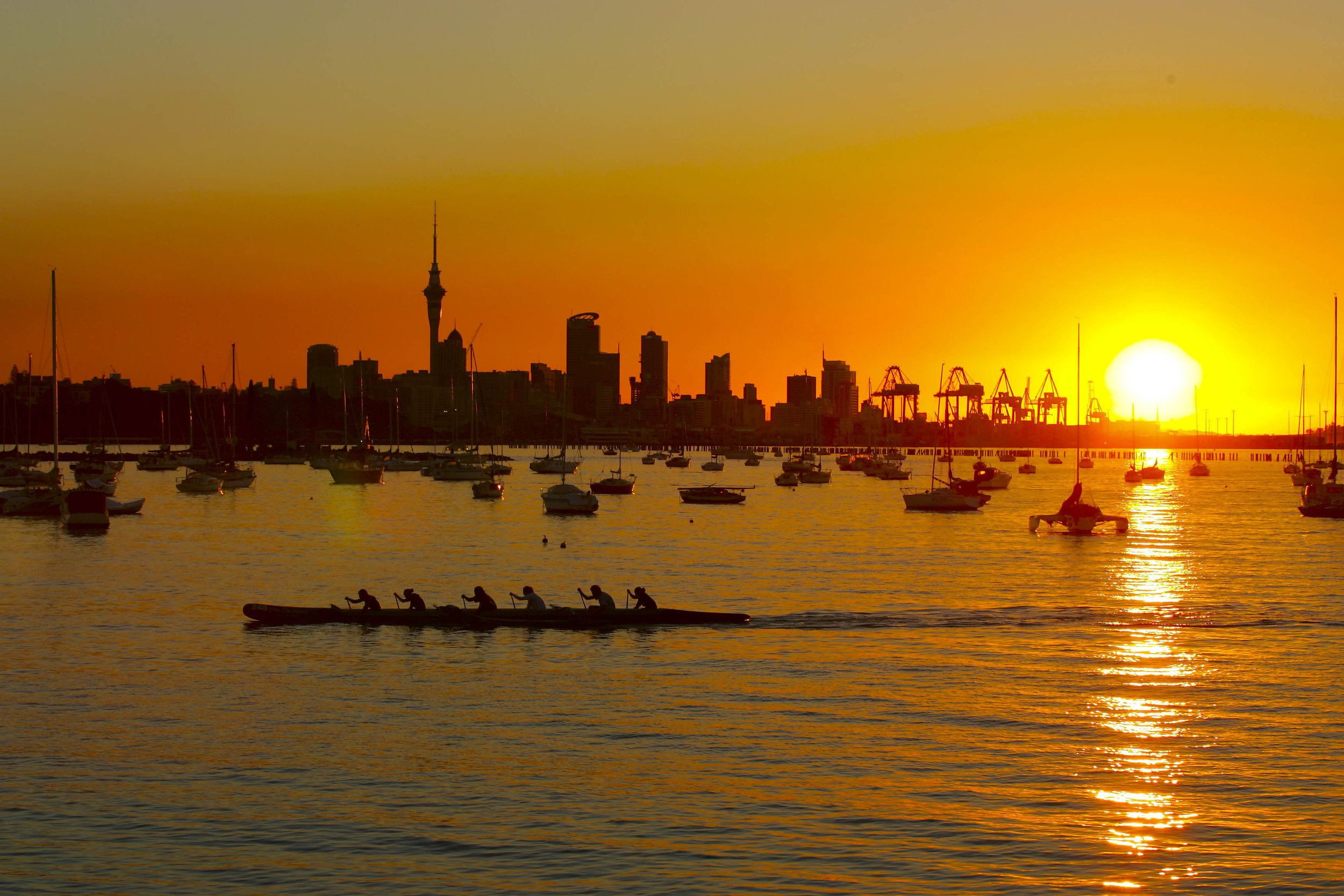 Auckland - Brendon OHagan image (1).JPG