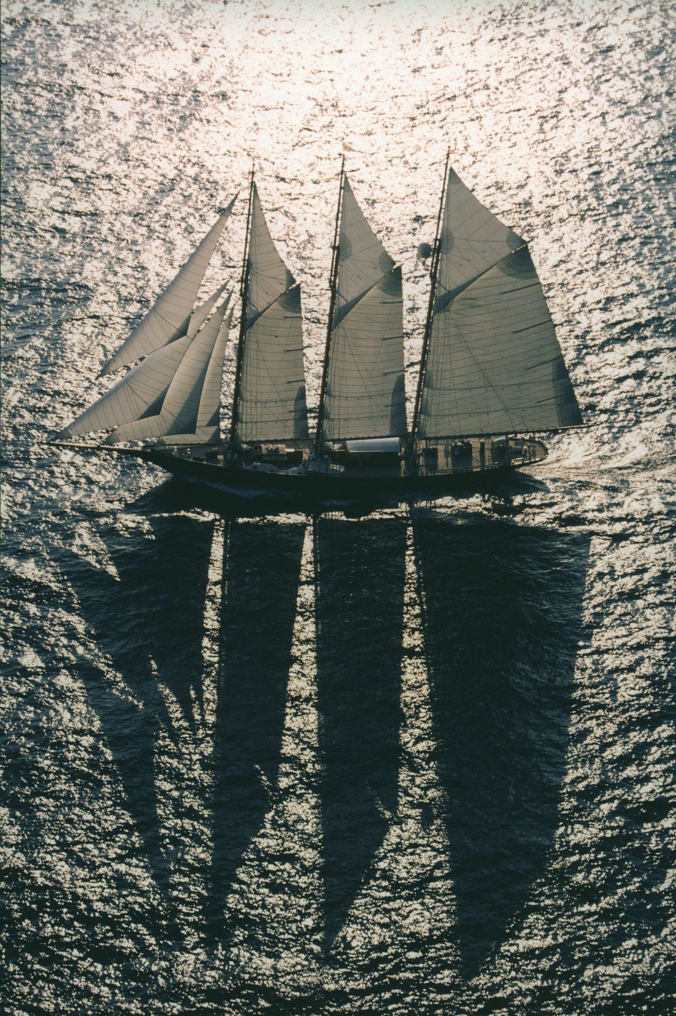 shen sailing 7.jpg