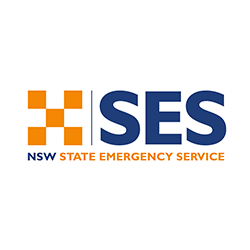 nswses.png