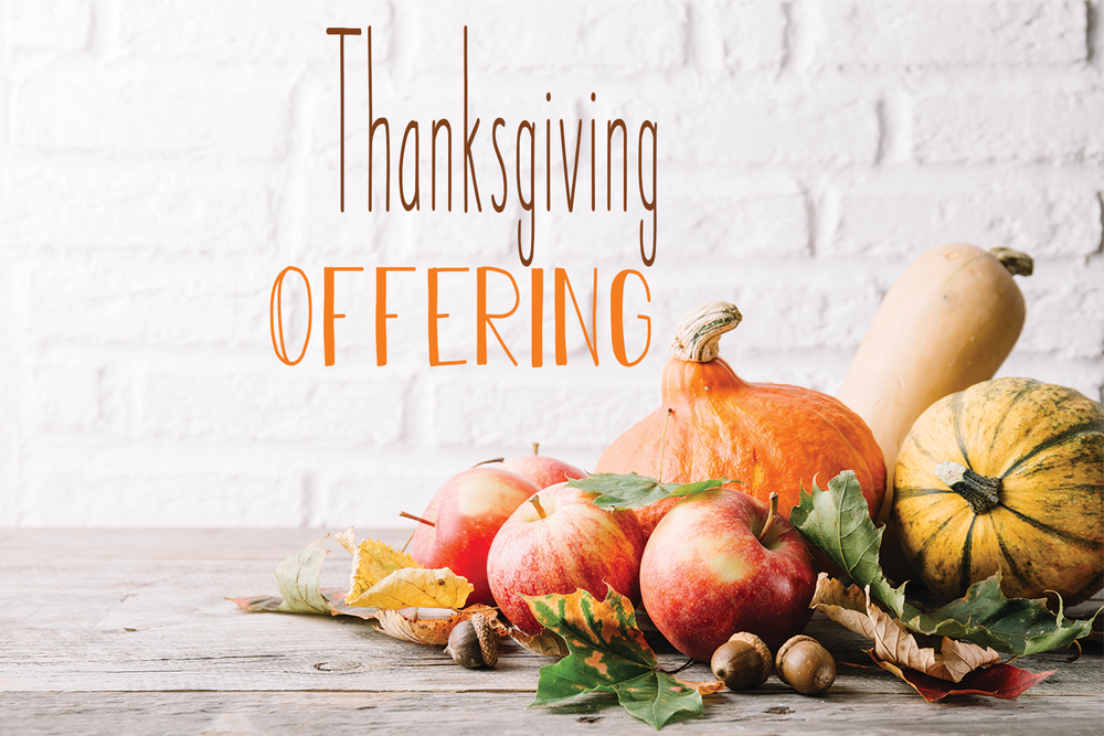 Thanksgiving Offering Lion Of Judah
