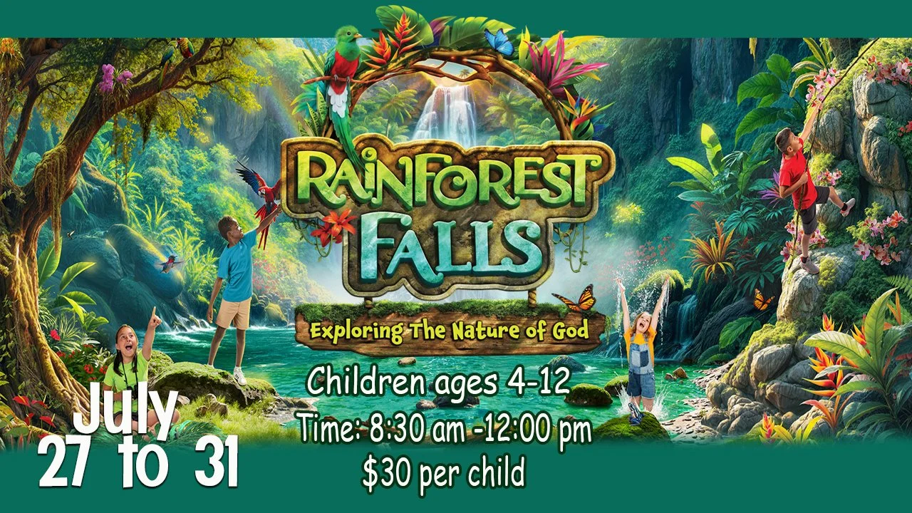 Rain Forest - English.jpg