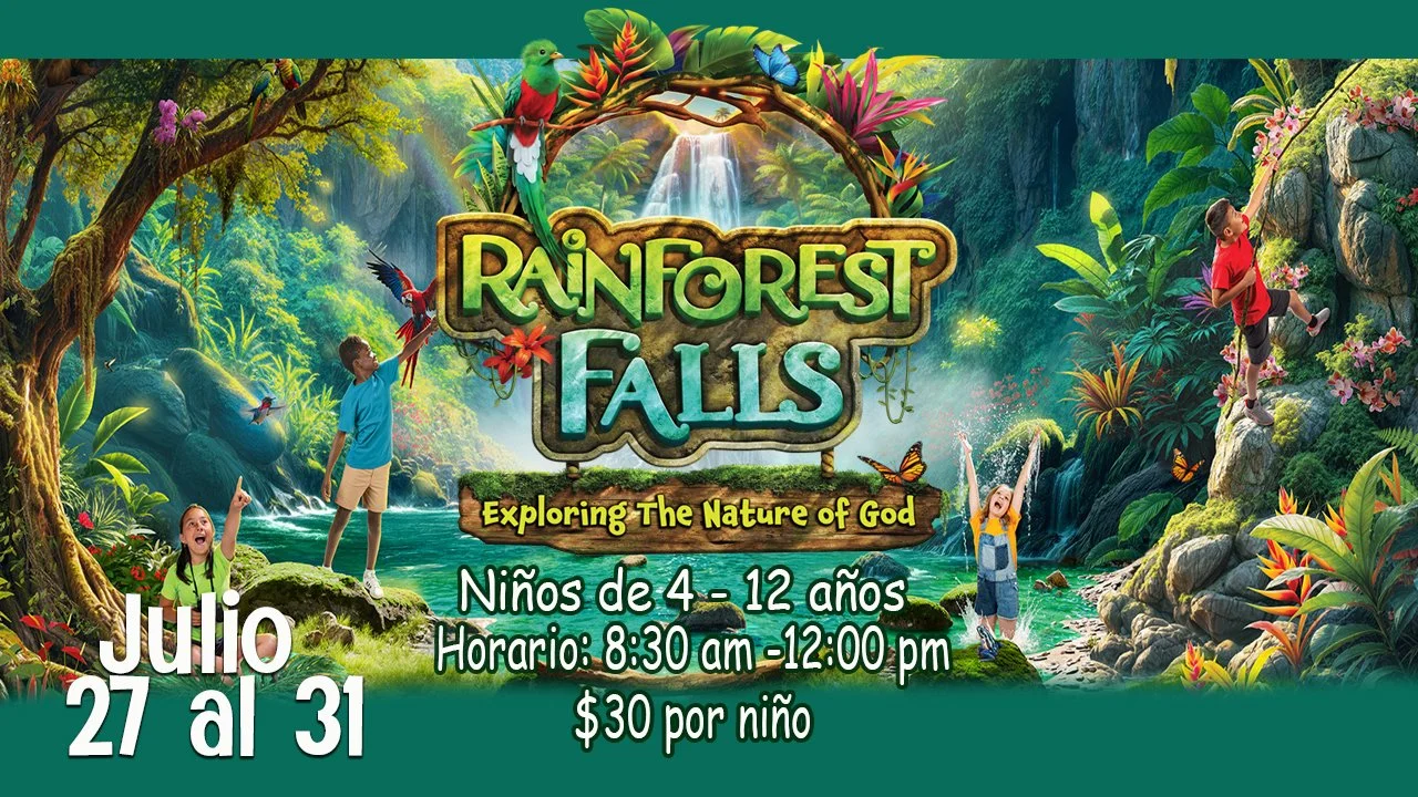 Rain Forest - Español.jpg