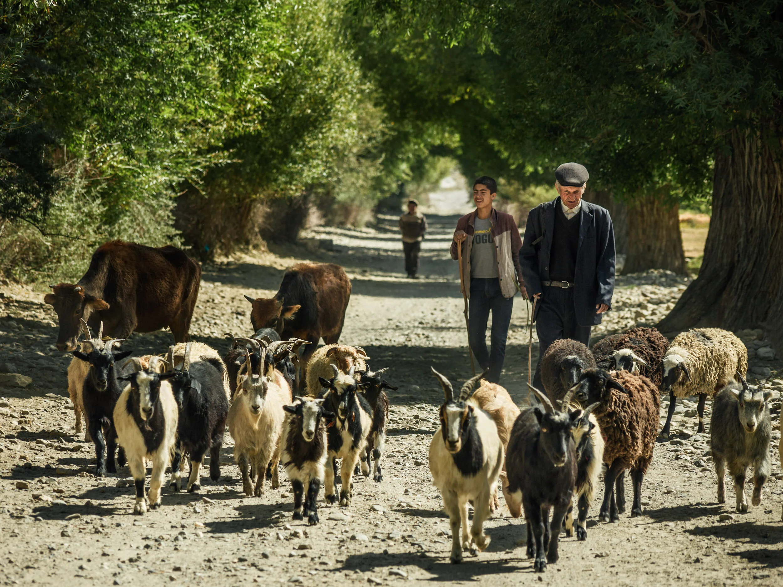 Wakhan Shepherd's Road