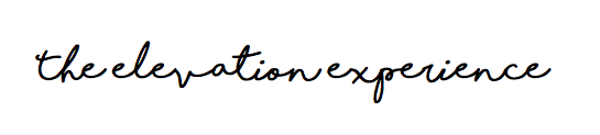 the elevation experience script copy.png