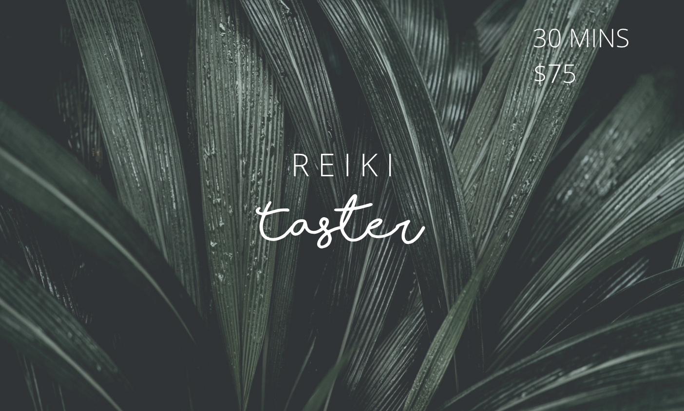 Reiki Taster Gift Card (Copy)