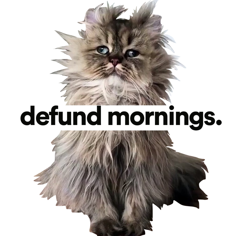 defundmorningscover.png