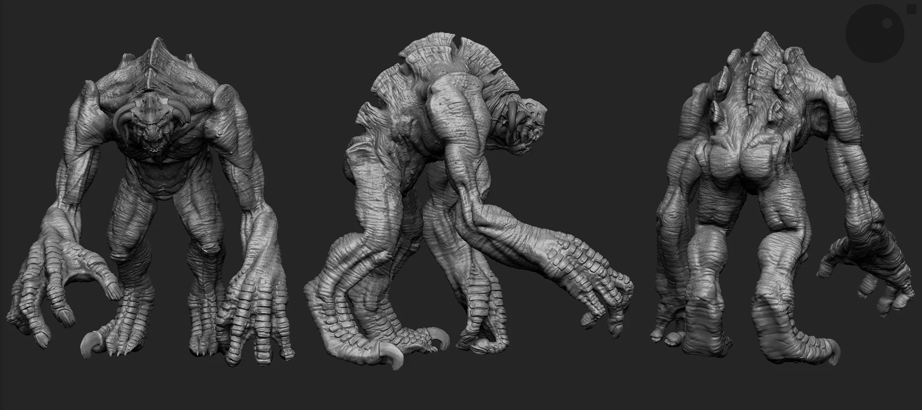 Xenocces_body.jpg