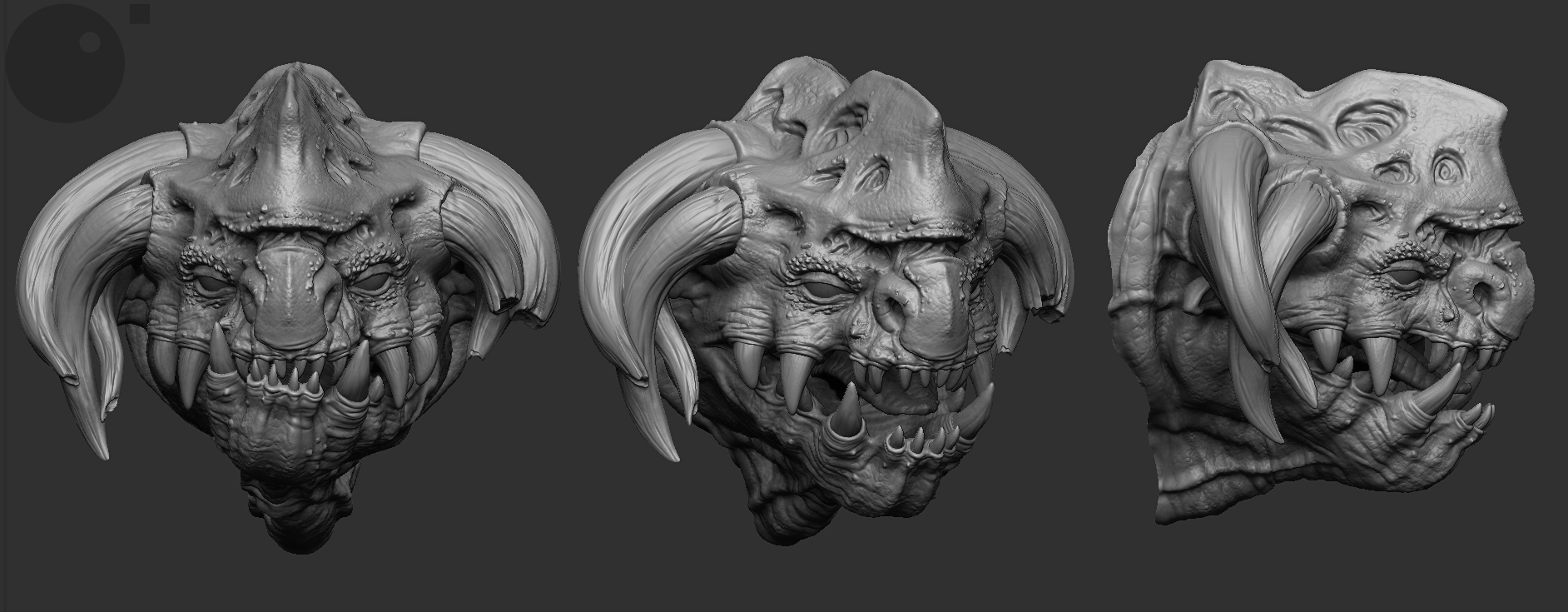 Xenocces_face.jpg
