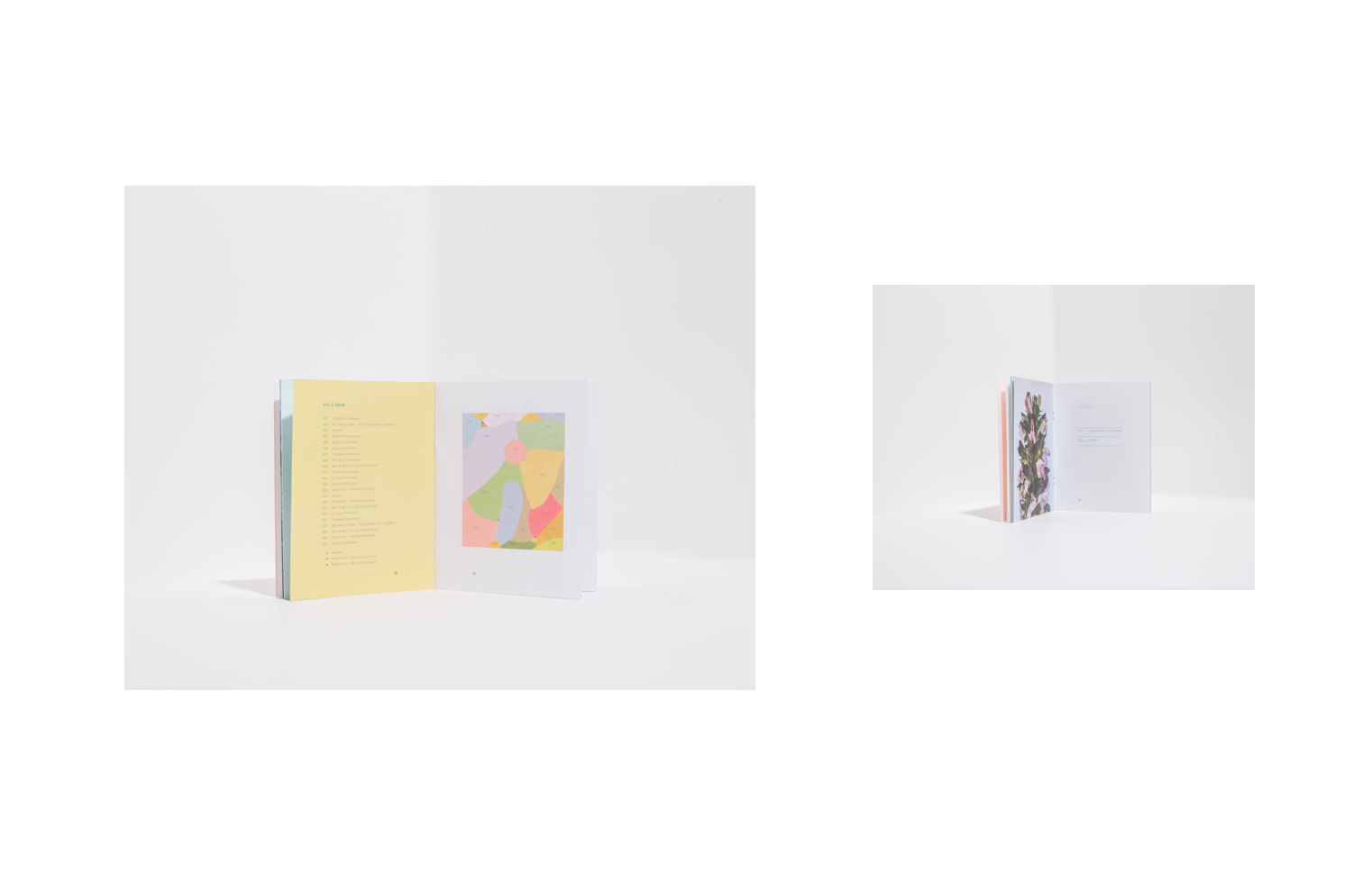 Live and Let Dye artist book